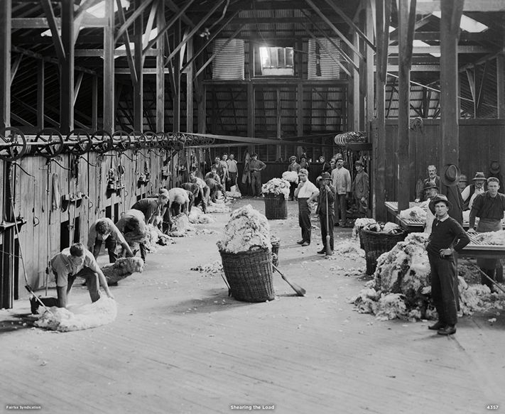 4357_Shearing the Load