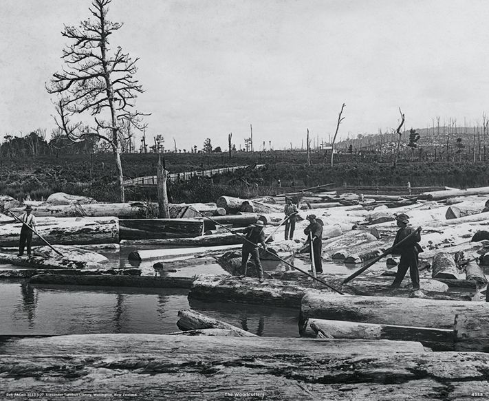4358_The Woodcutters