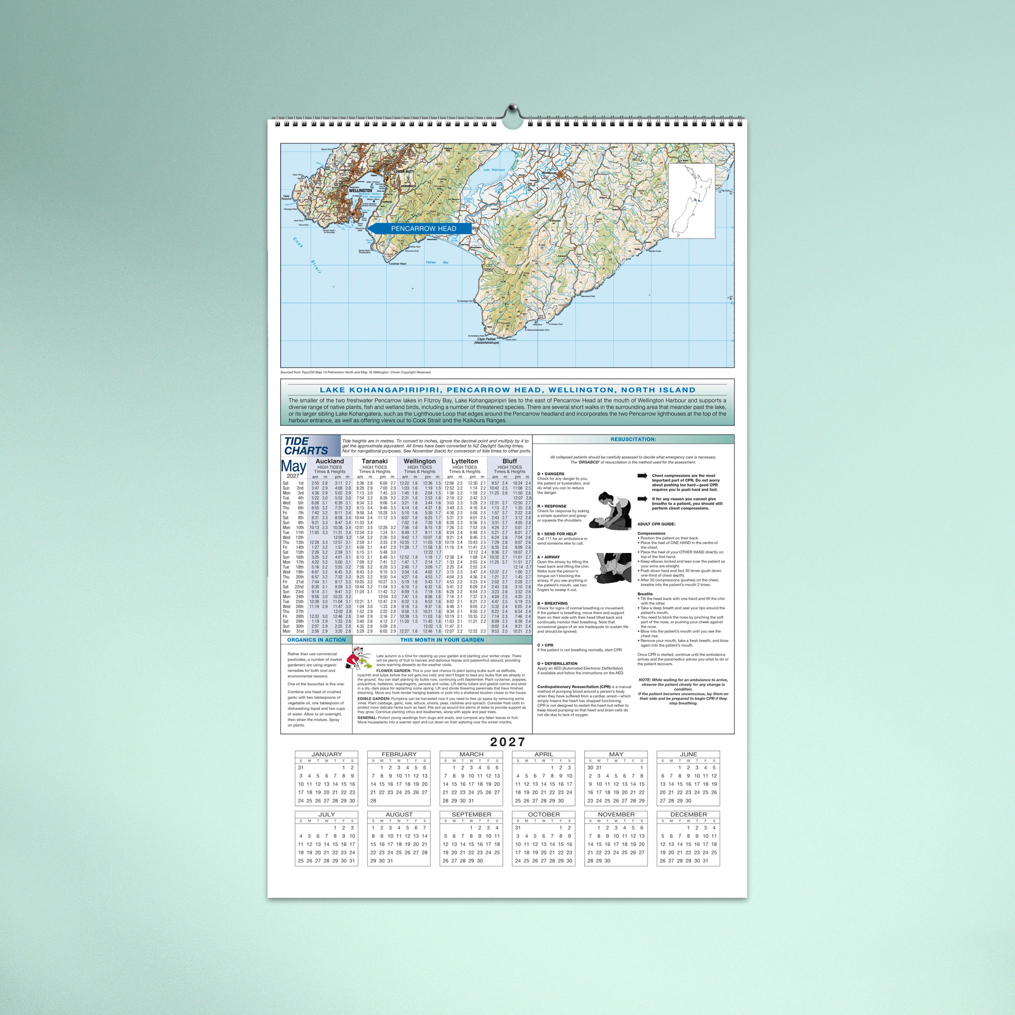 easy2C NZ Scenic_11 MAY BACK