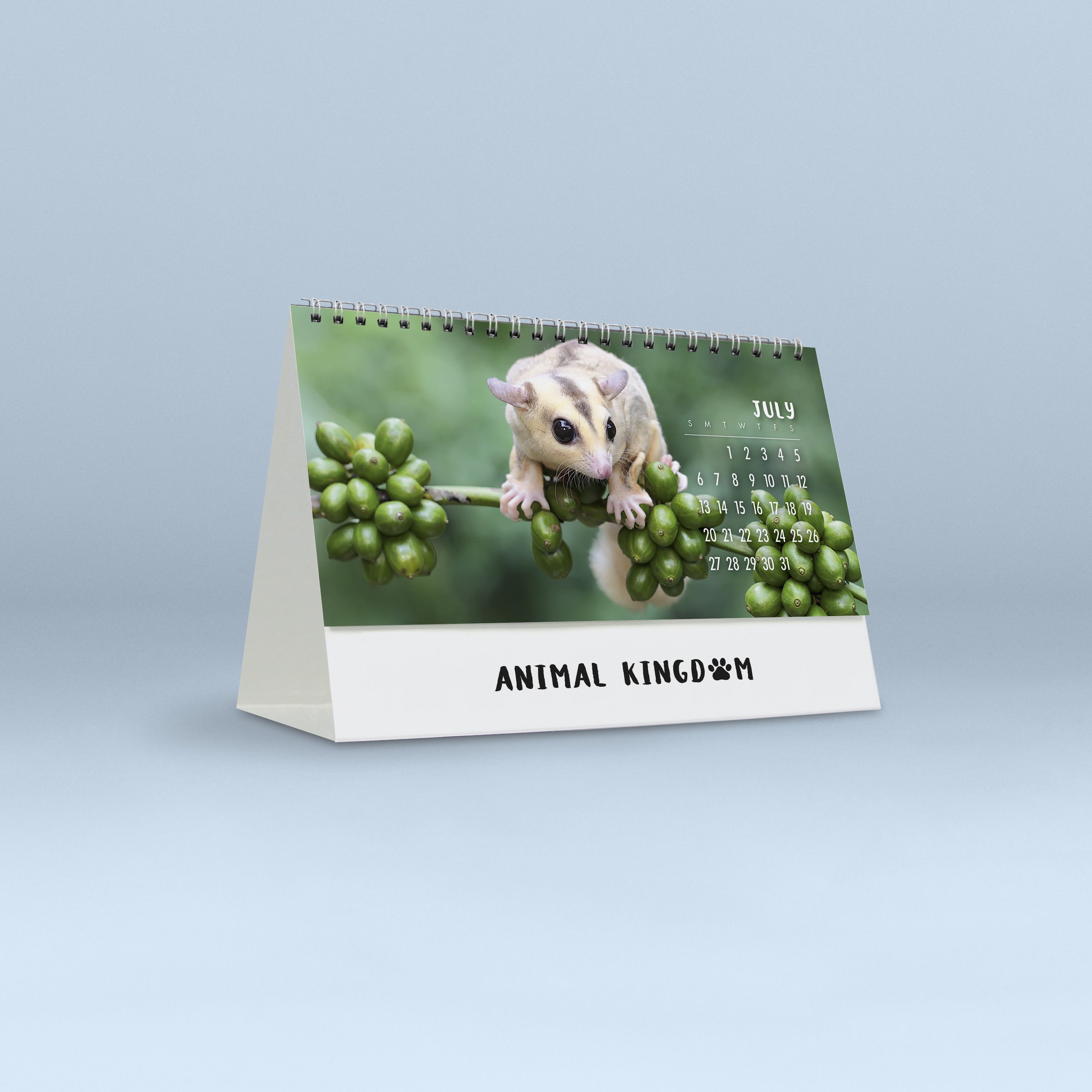 Animal Kingdom_4257_25_14
