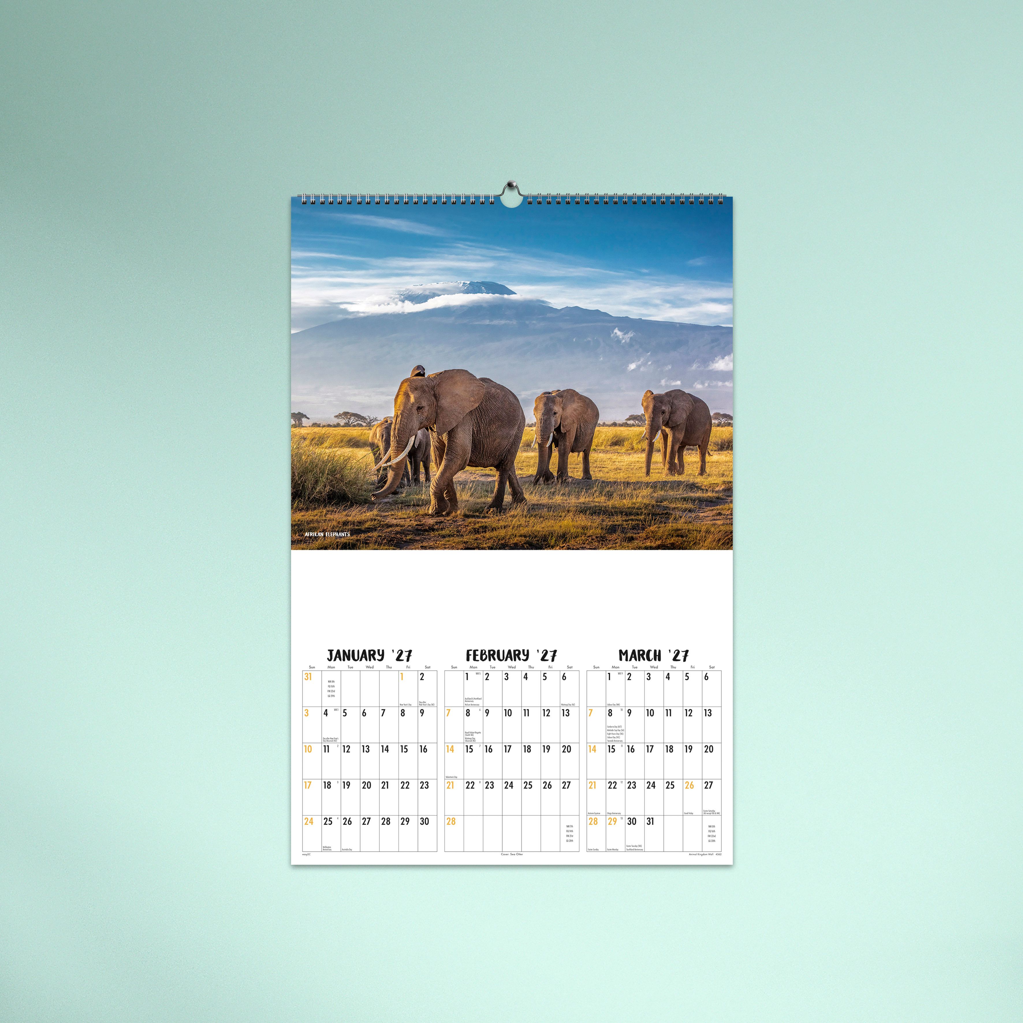 Animal Kingdom_Wall_26-4562-TEXT-01 JAN/FEB/MAR