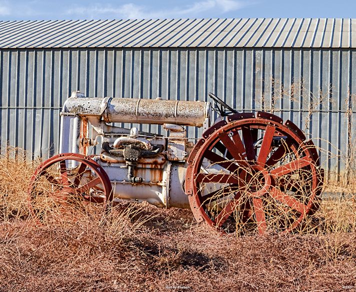 4330_Out to Pasture