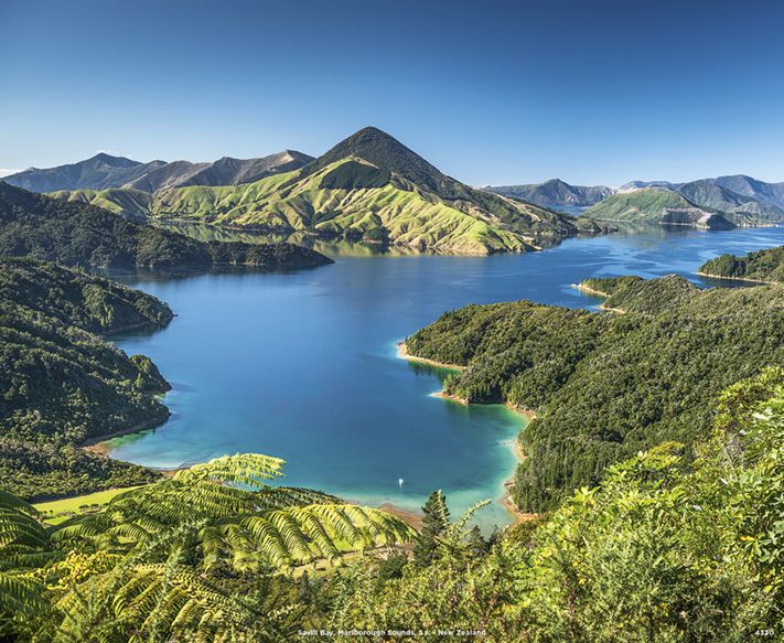 4320_Savill Bay, Marlborough Sounds
