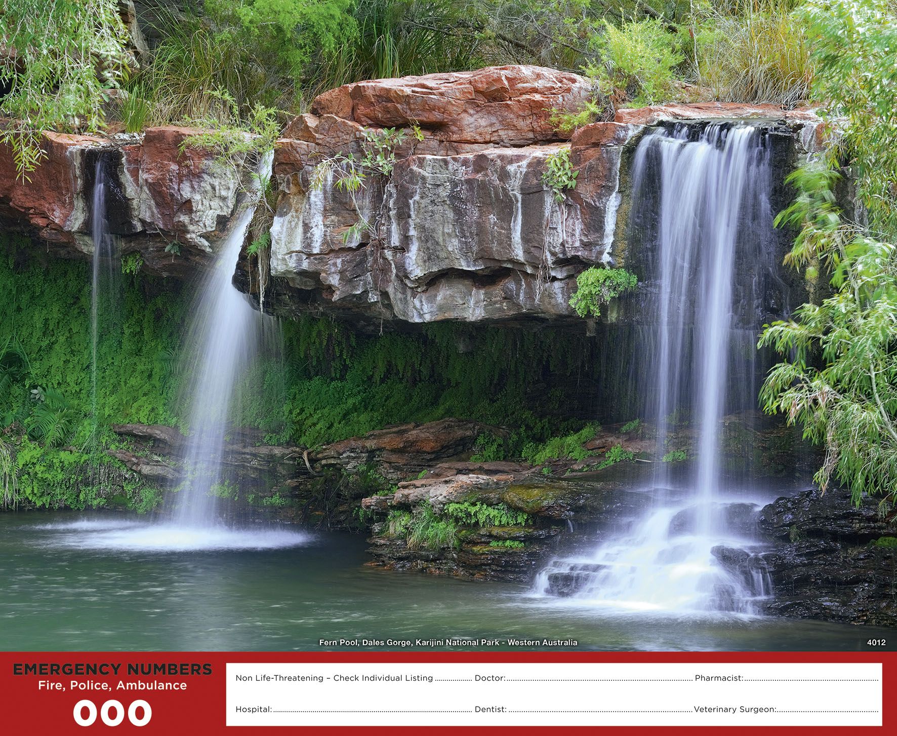 Fern Pool, Dales Gorge, Karijini National Park - WA Single-Sheet