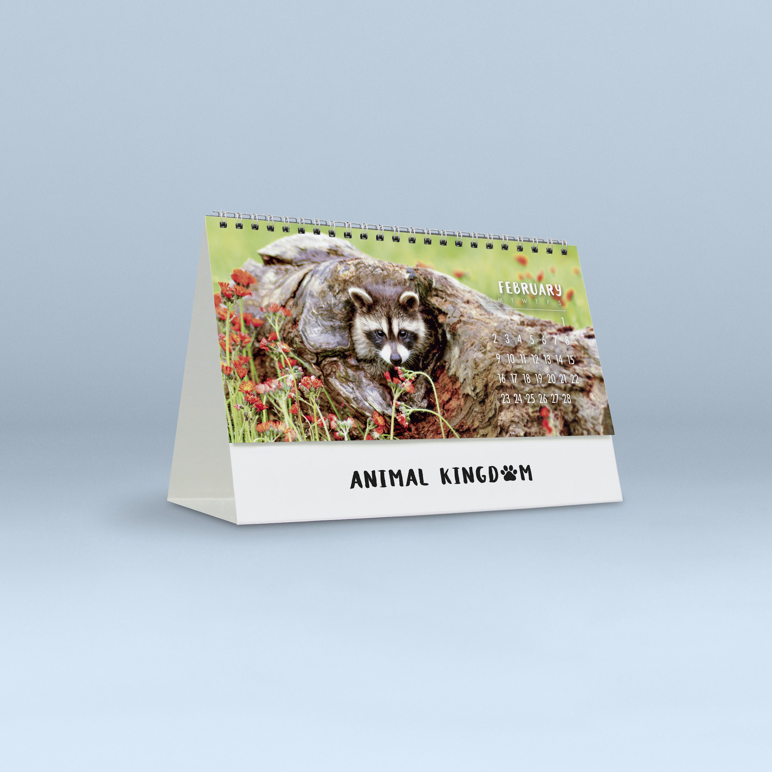 Animal Kingdom_4257_25_04