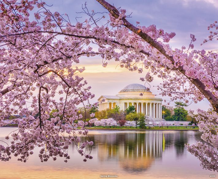 4333_Spring Blossoms