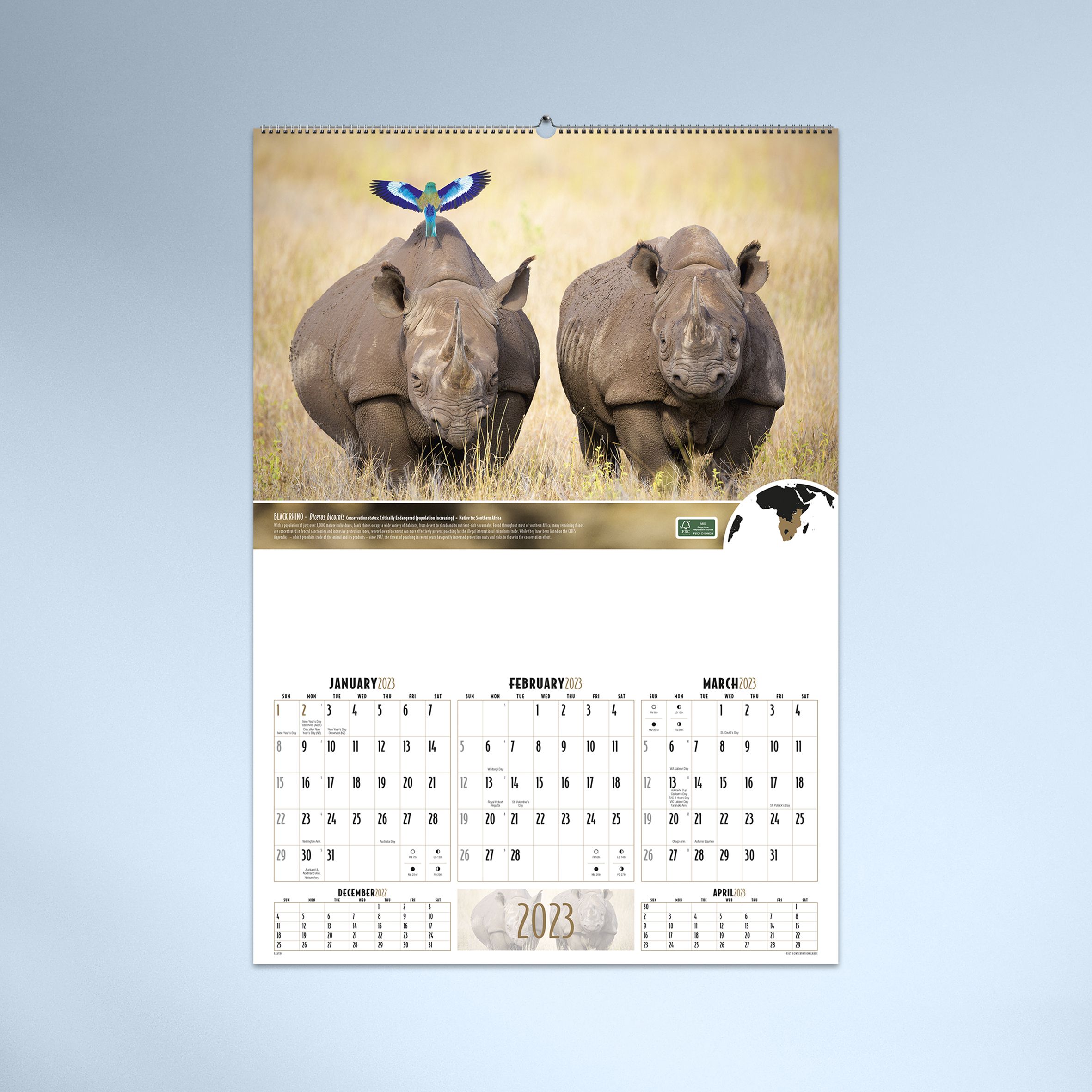 Conservation_Large_Cyan_Hero