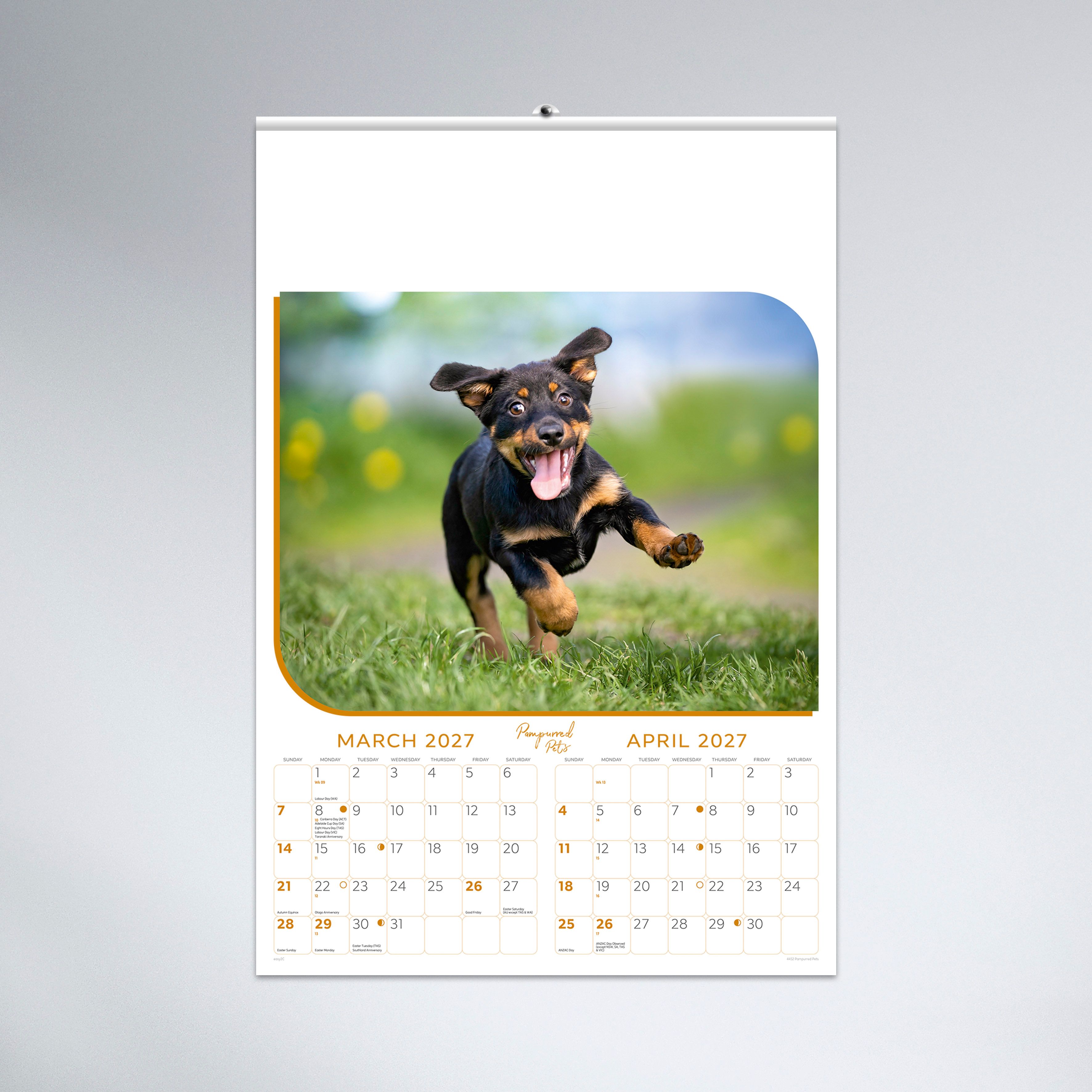 Pampurred Pets_Wall_4452-TEXT-02 MAR/APR