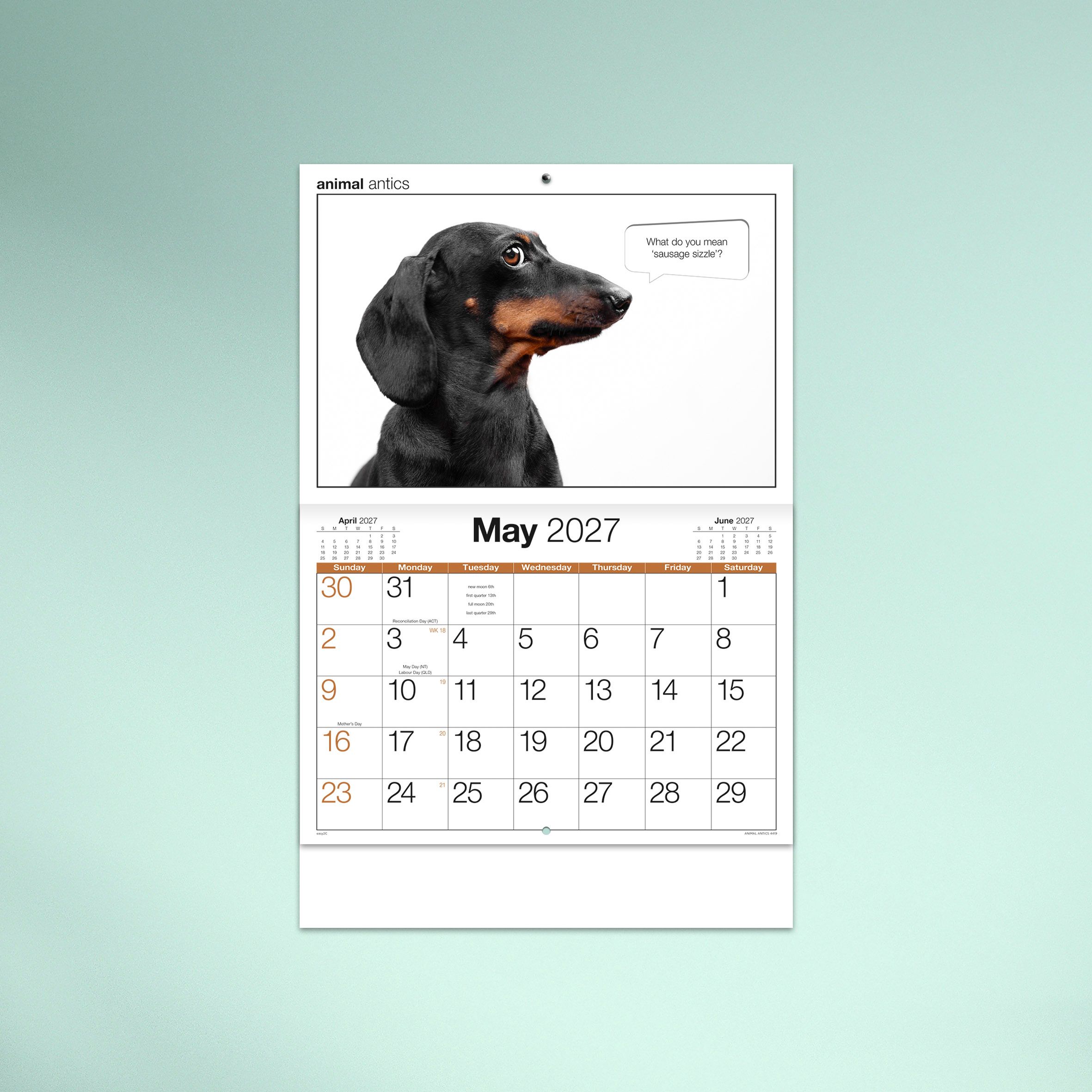 Animal_Antics_26_4419_TEXT_05 MAY