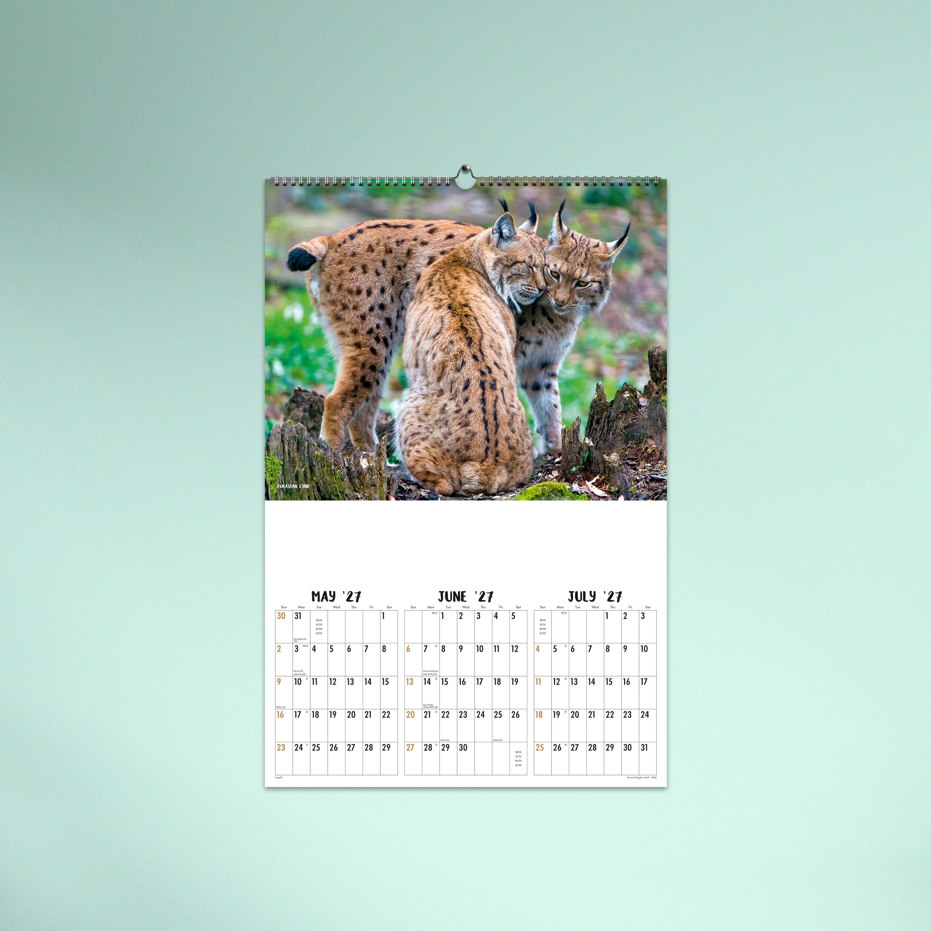 Animal Kingdom_Wall_26-4562-TEXT-03 MAY/JUN/JUL