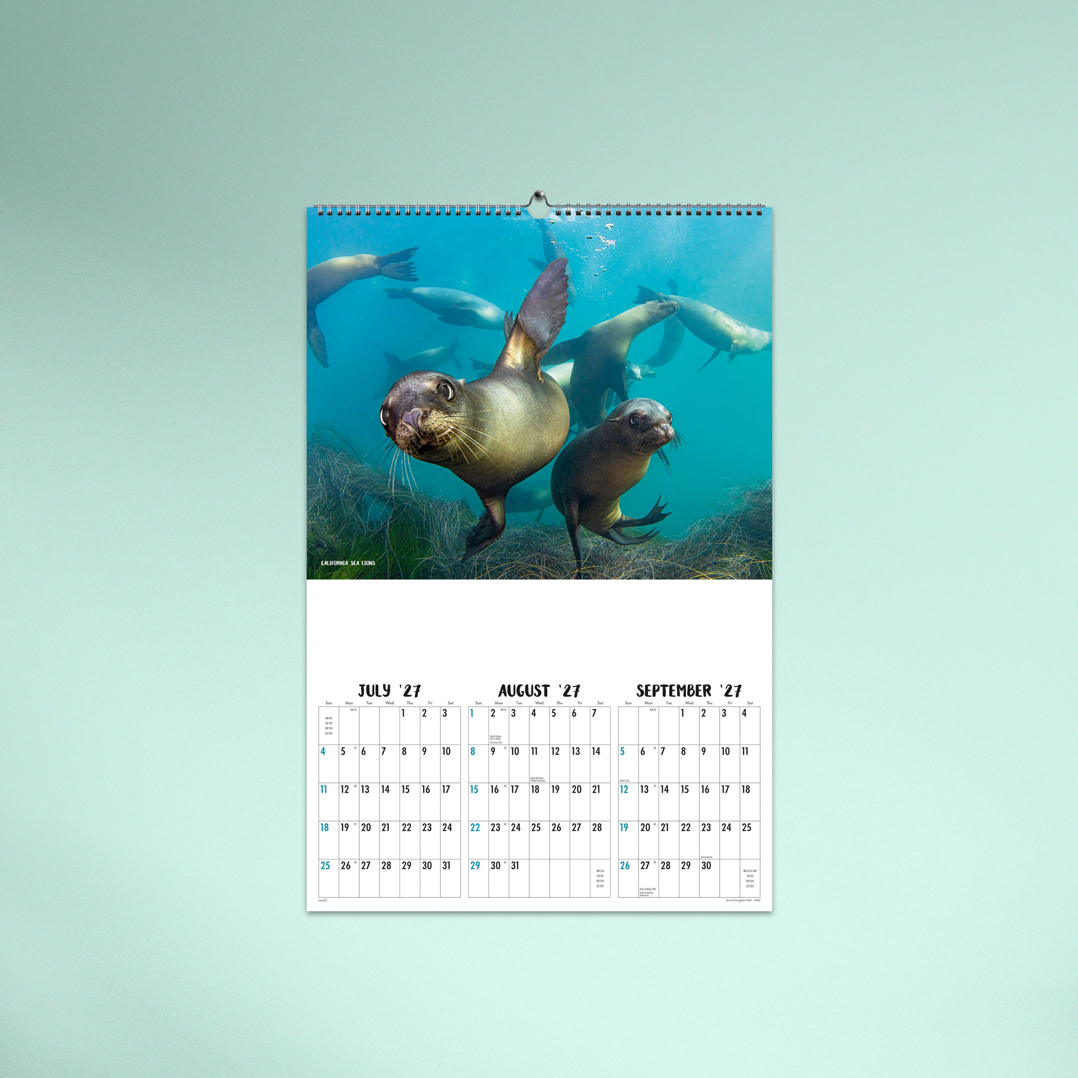 Animal Kingdom_Wall_26-4562-TEXT-04 JUL/AUG/SEP