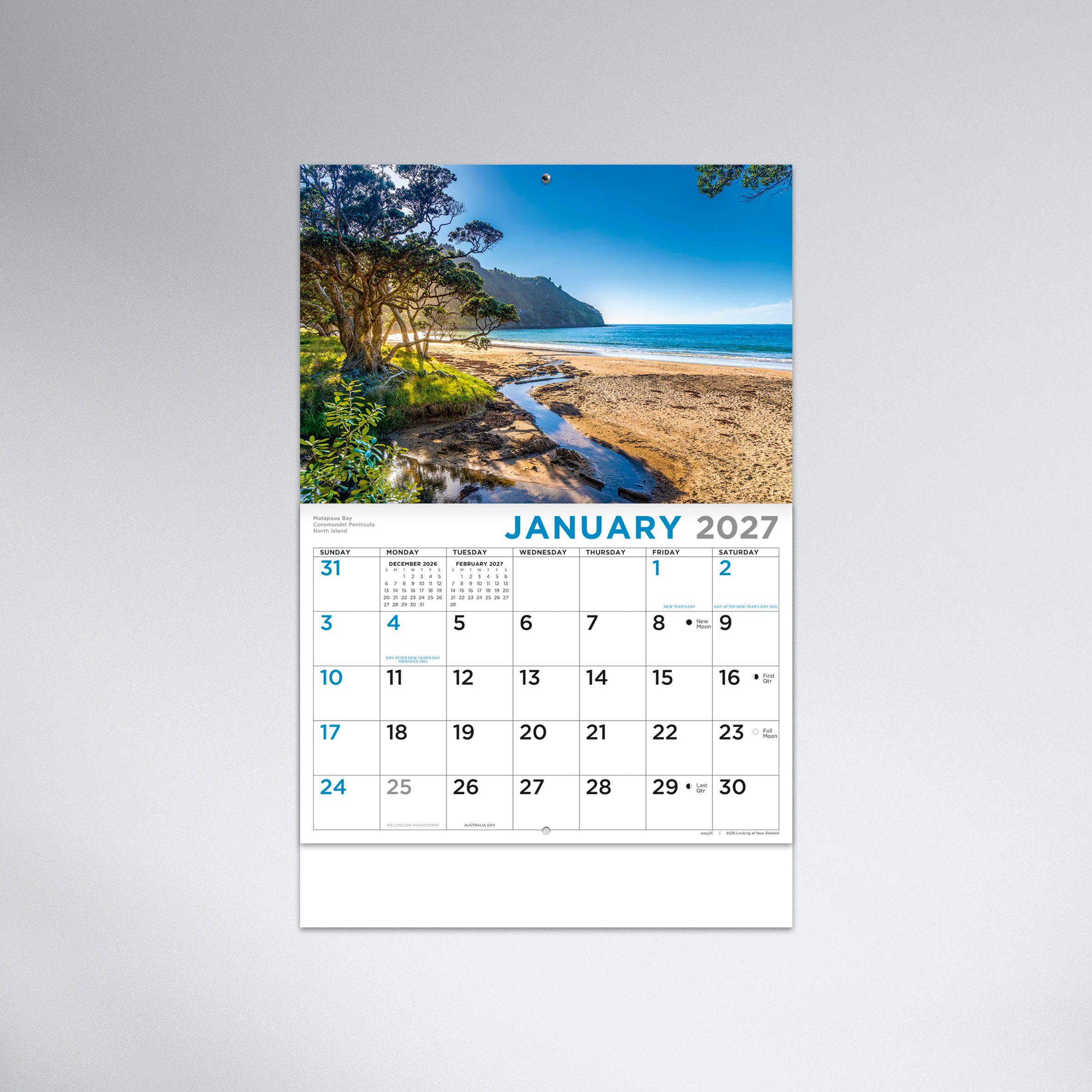 Looking_at_NZ_26_4512_TEXT_01 JAN