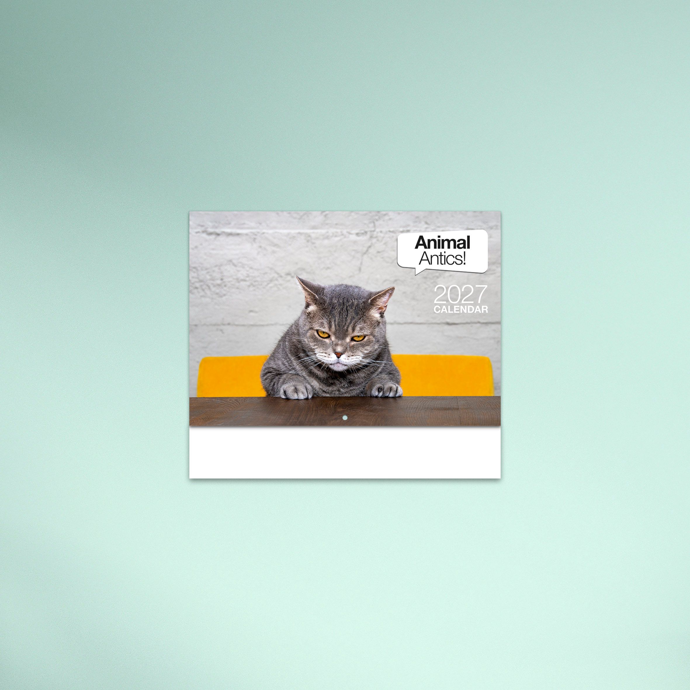 Animal_Antics_26_4419_TEXT_00 COVER