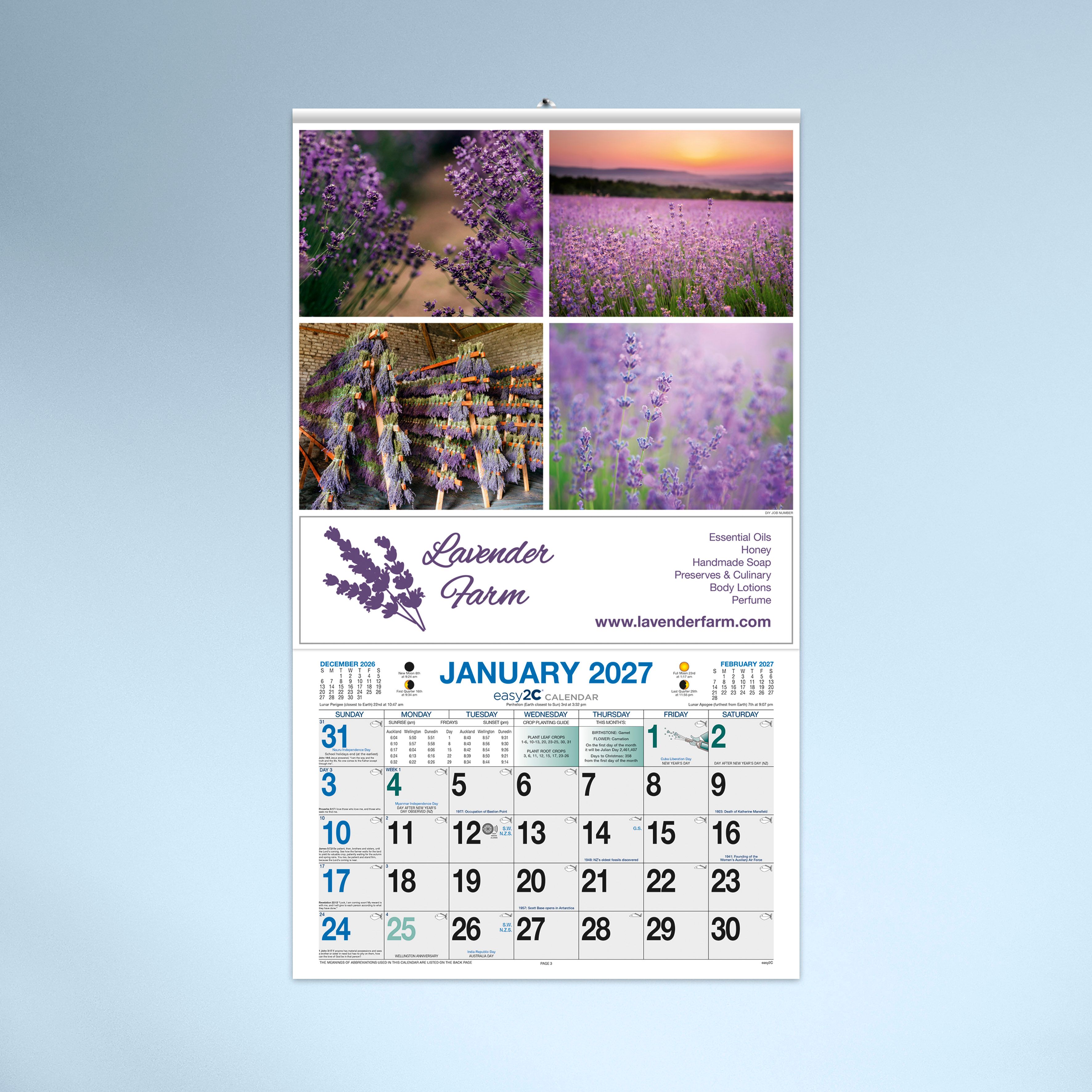 Standard Hanger_4739C fixed C_N1_27