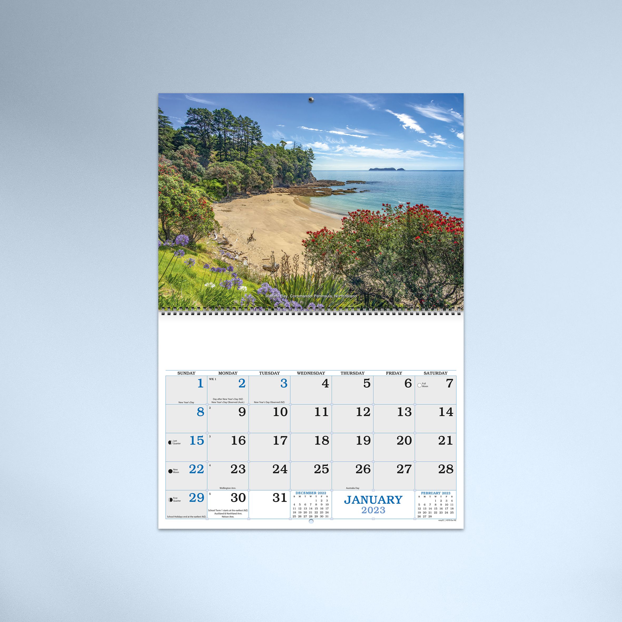 4570_Our NZ_Cyan_Hero
