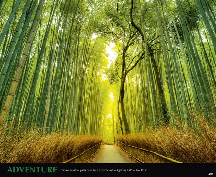 4315_Adventure