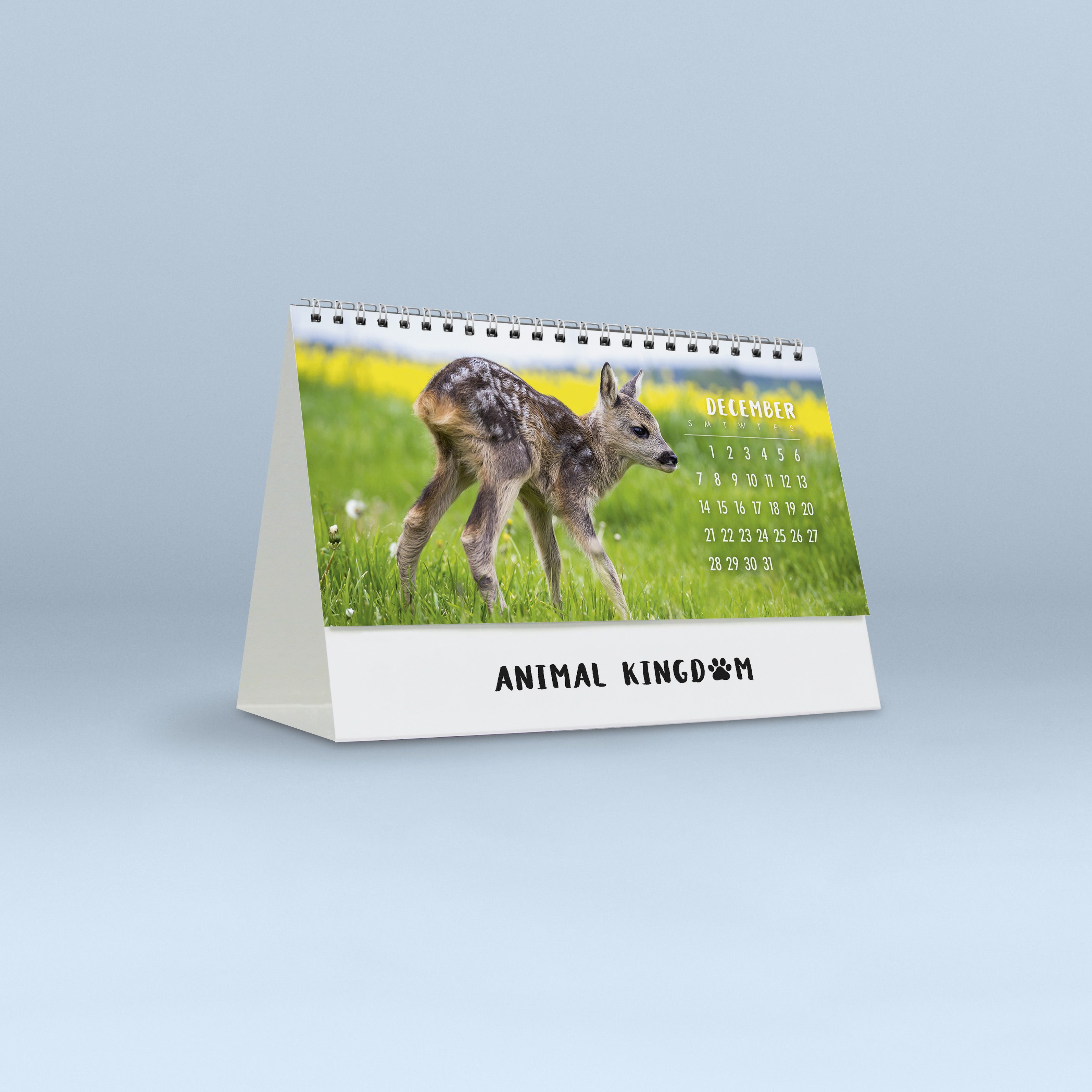 Animal Kingdom_4257_25_24