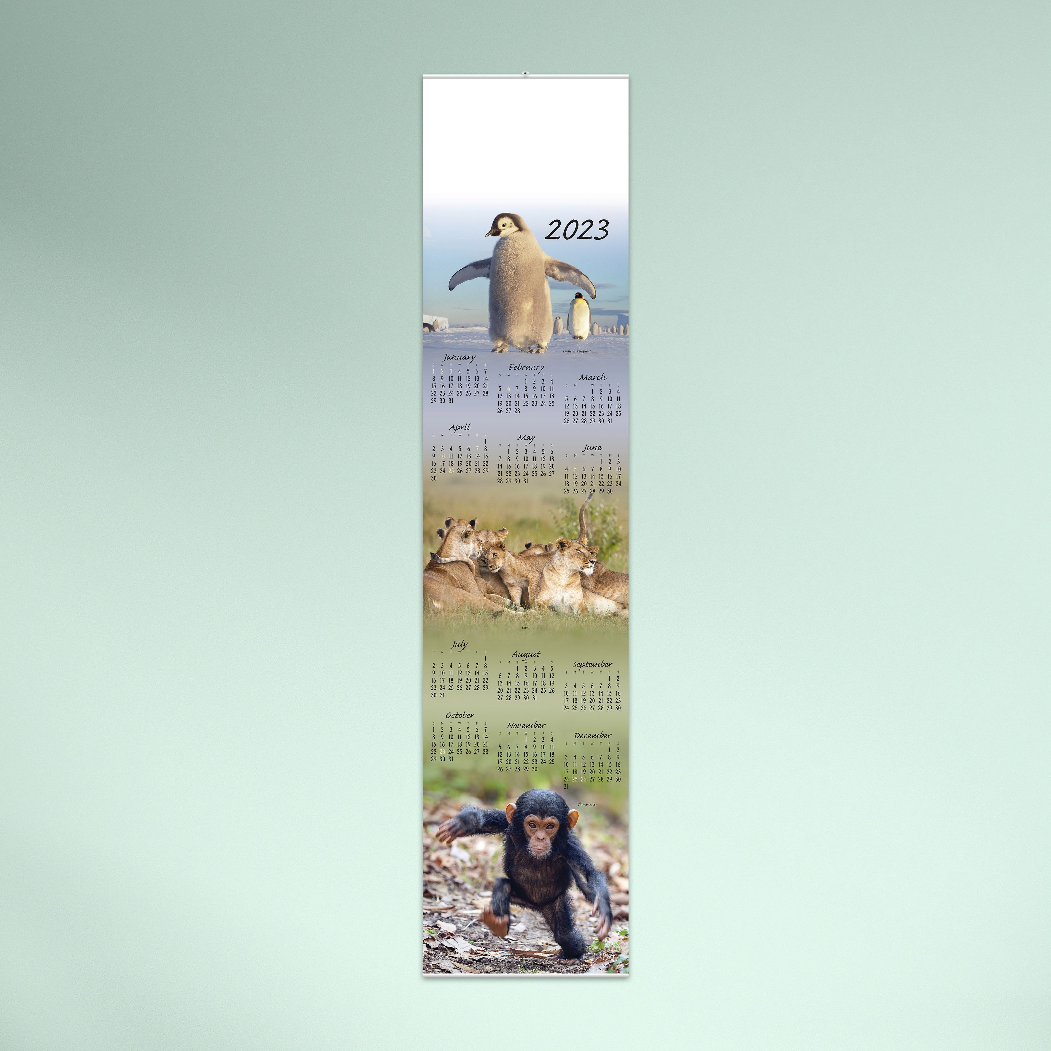 4606_Wildlife Scroll_Hero_Green