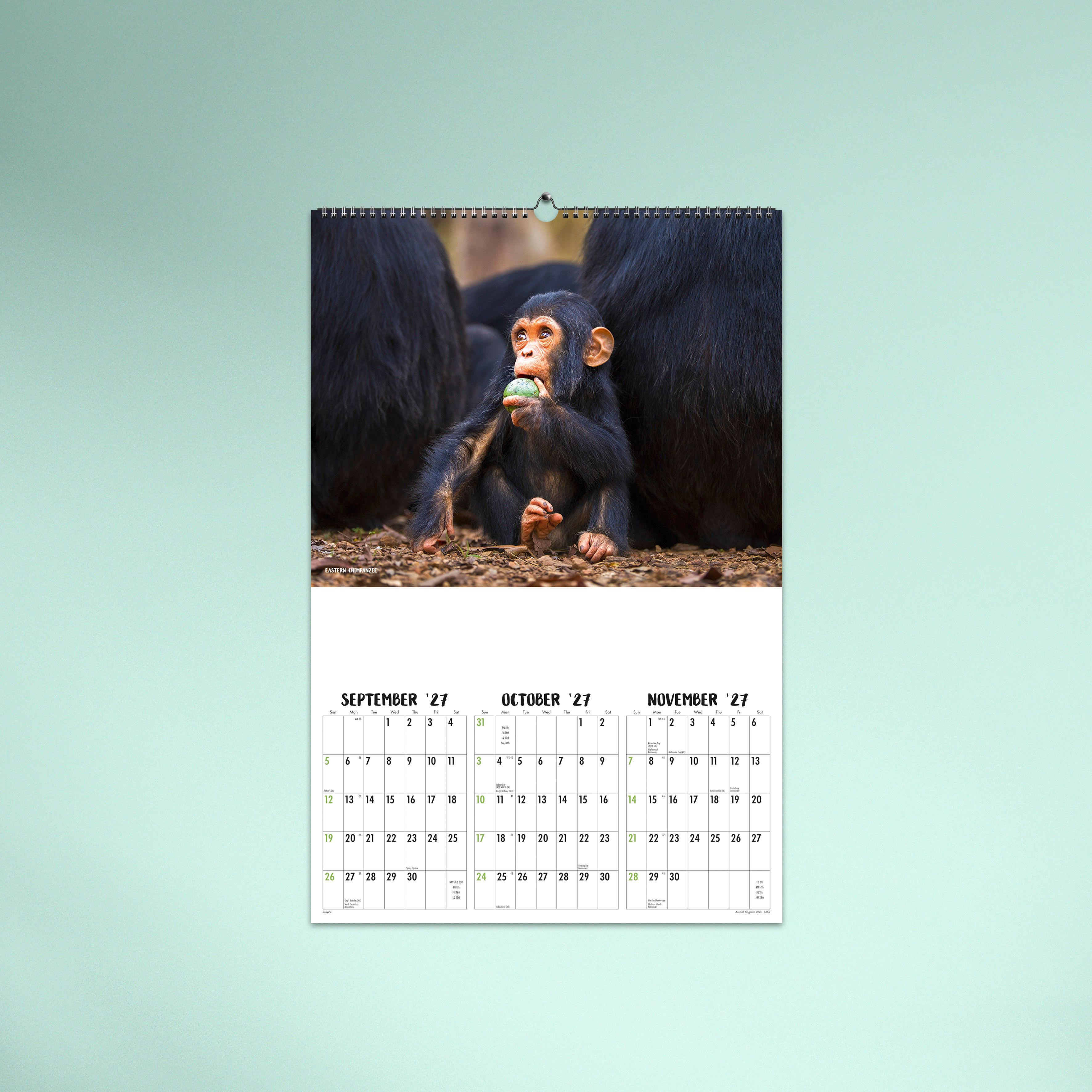 Animal Kingdom_Wall_26-4562-TEXT-05 SEP/OCT/NOV