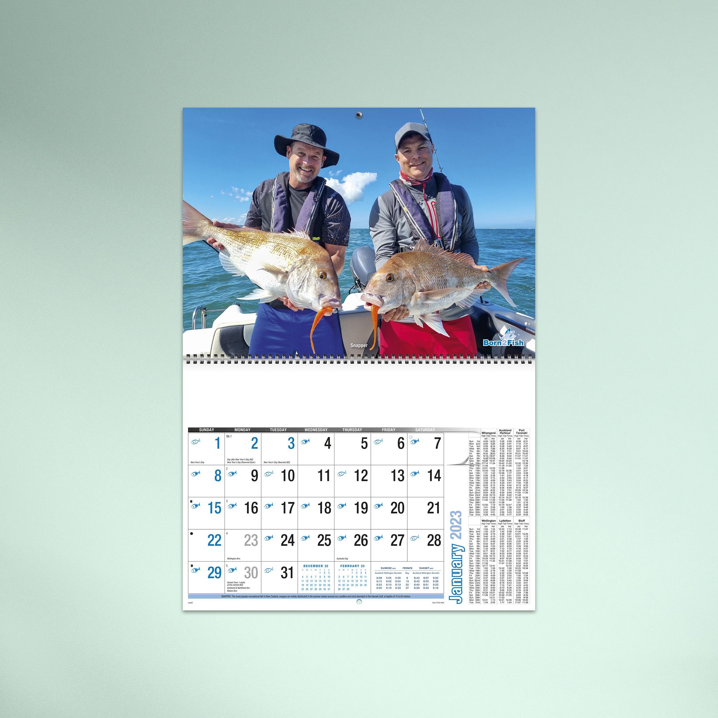 4524_Born 2 Fish_Green Hero