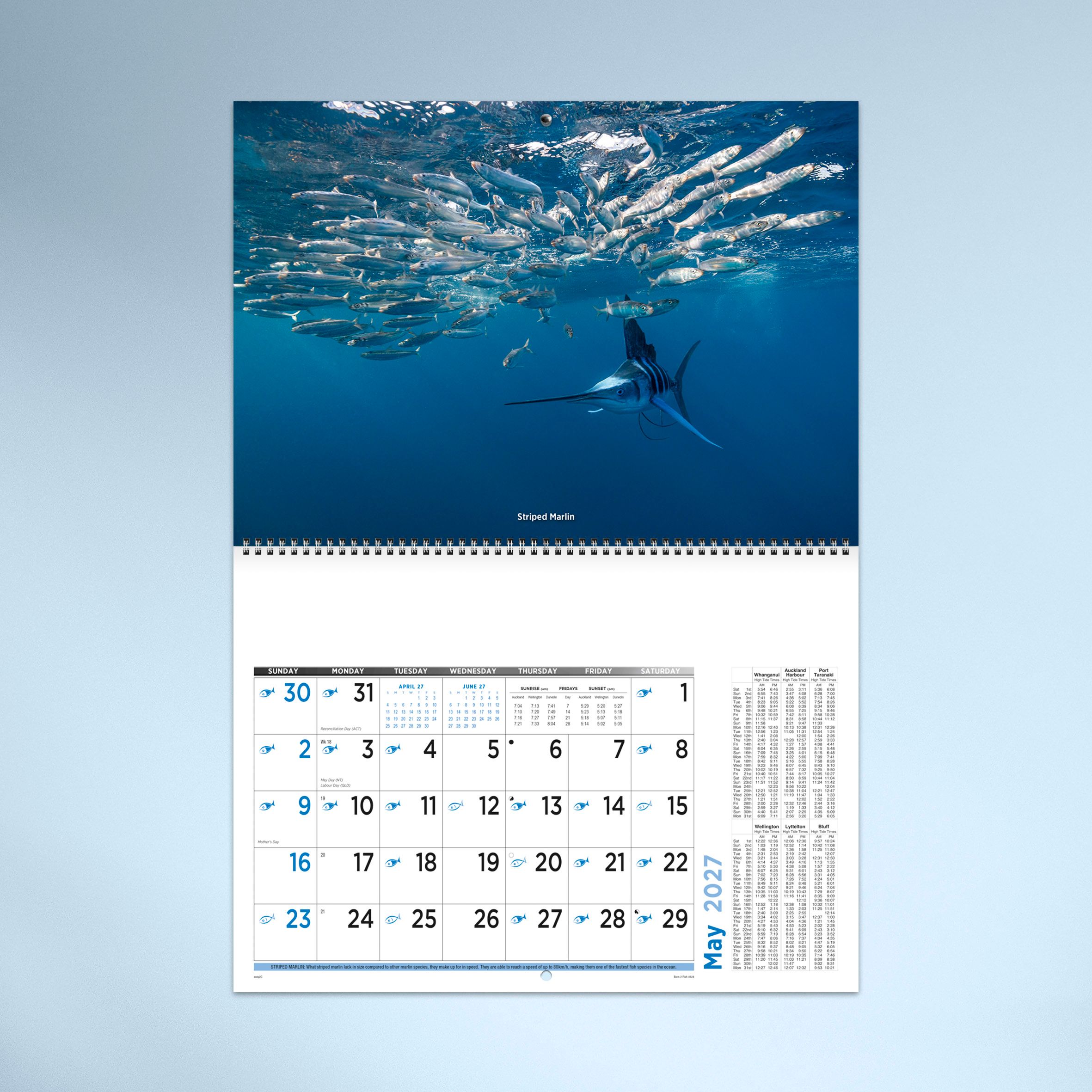 Born2fish_26_4524_TEXT_05 MAY