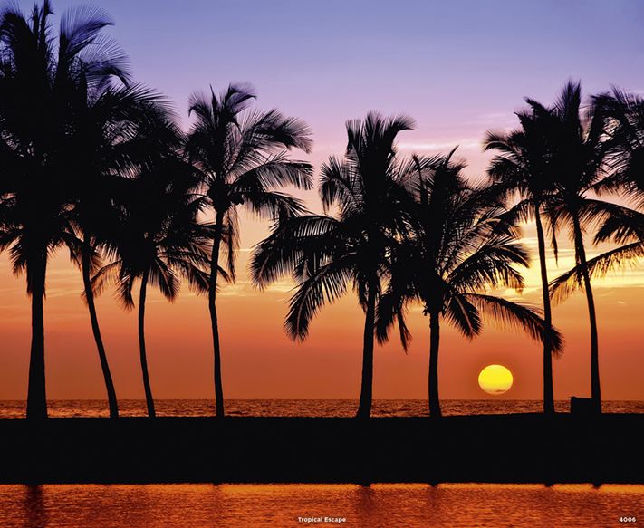 4006_Tropical Escape