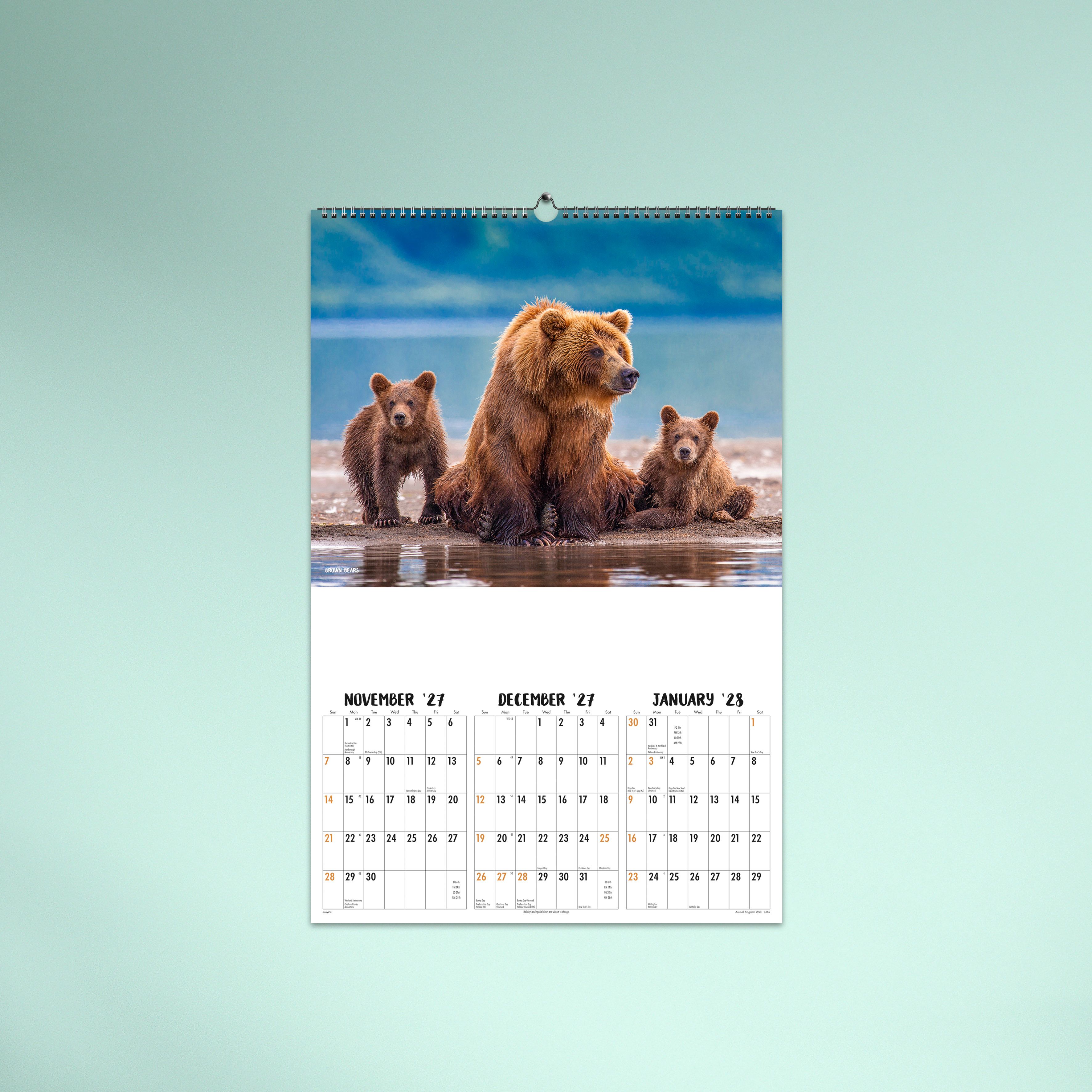 Animal Kingdom_Wall_26-4562-TEXT-06 NOV/DEC/JAN 27