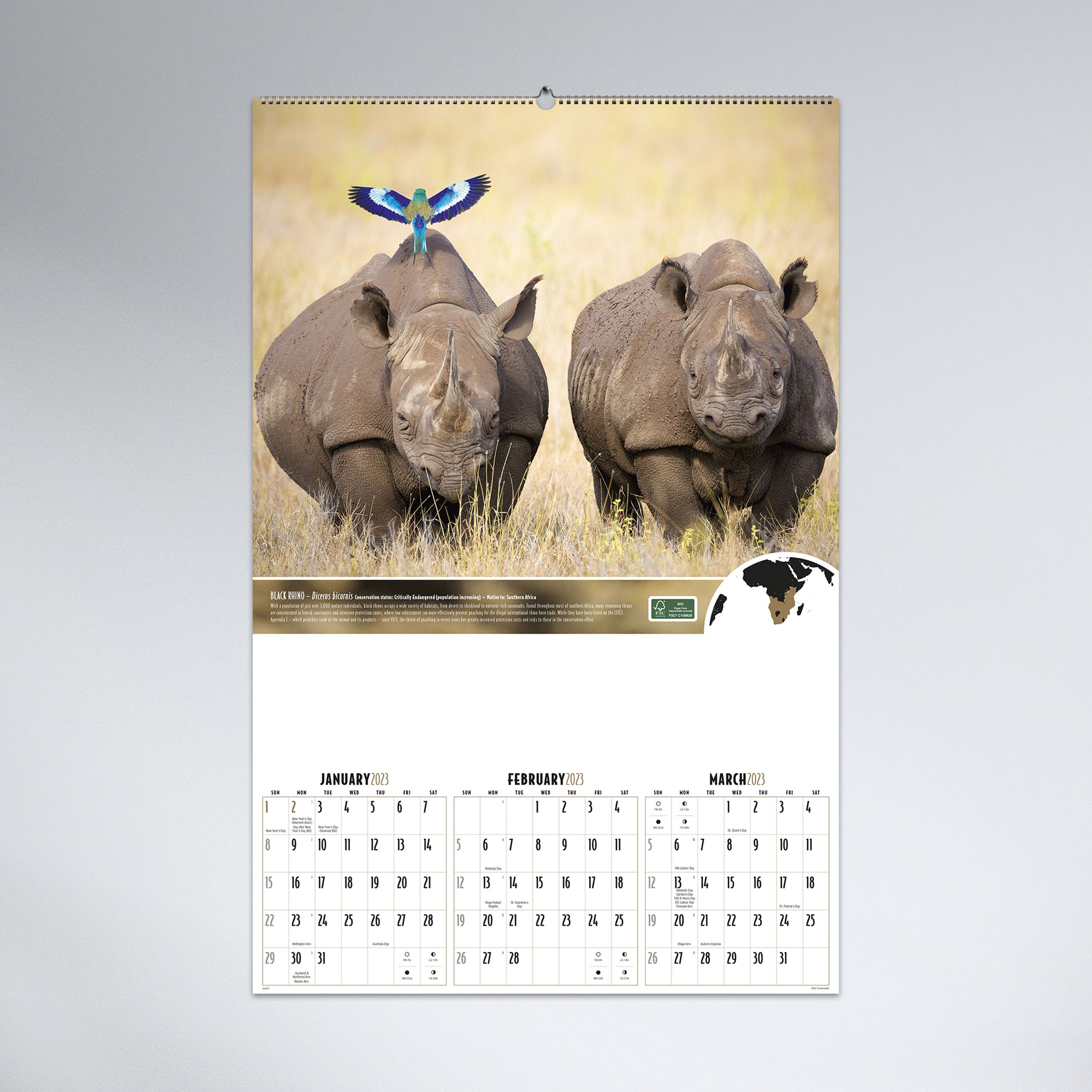 Conservation_Small_Wiro_Grey_Hero