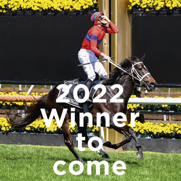 4302_Melbourne Cup 21 Winner