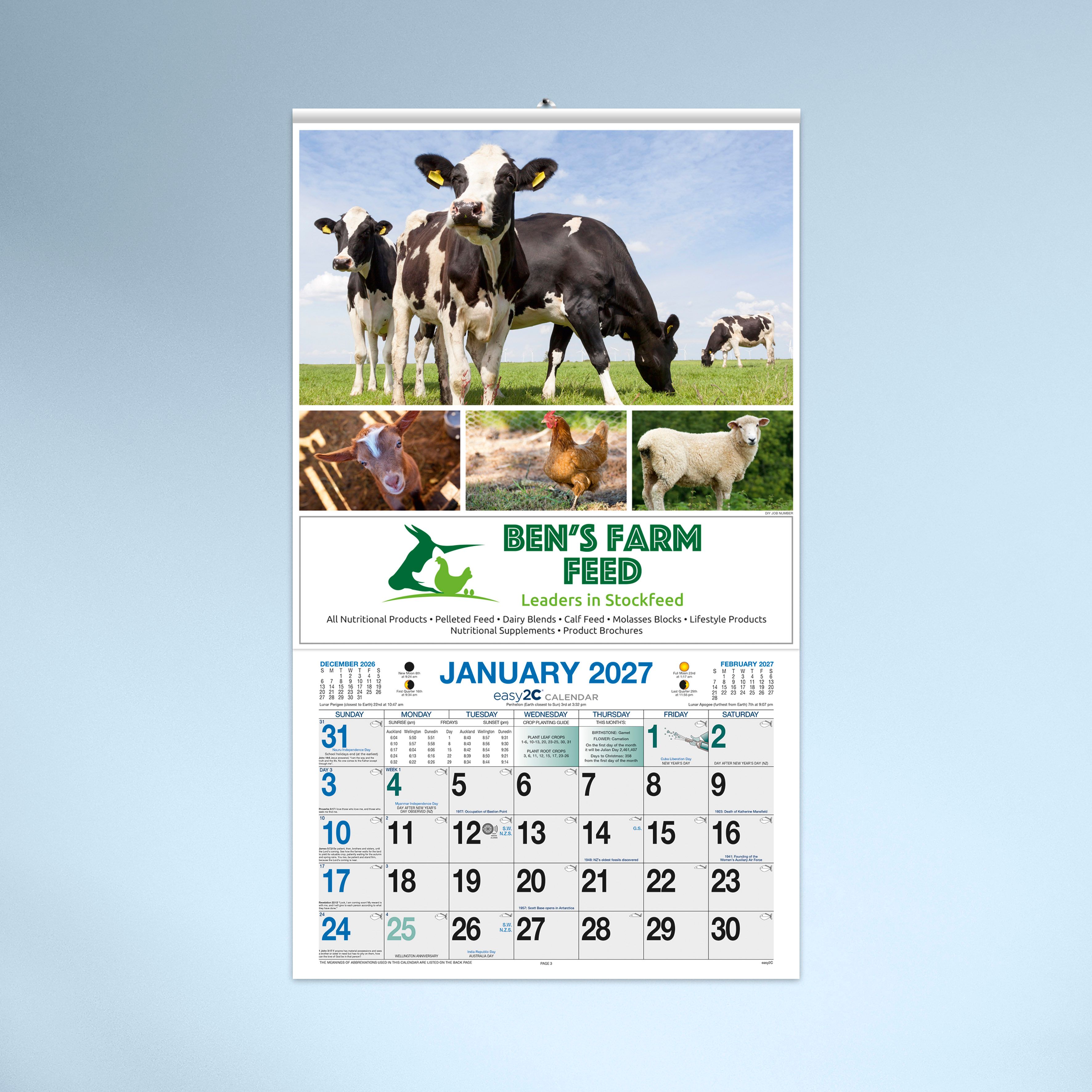 Standard Hanger_4739B fixed B_N2_27