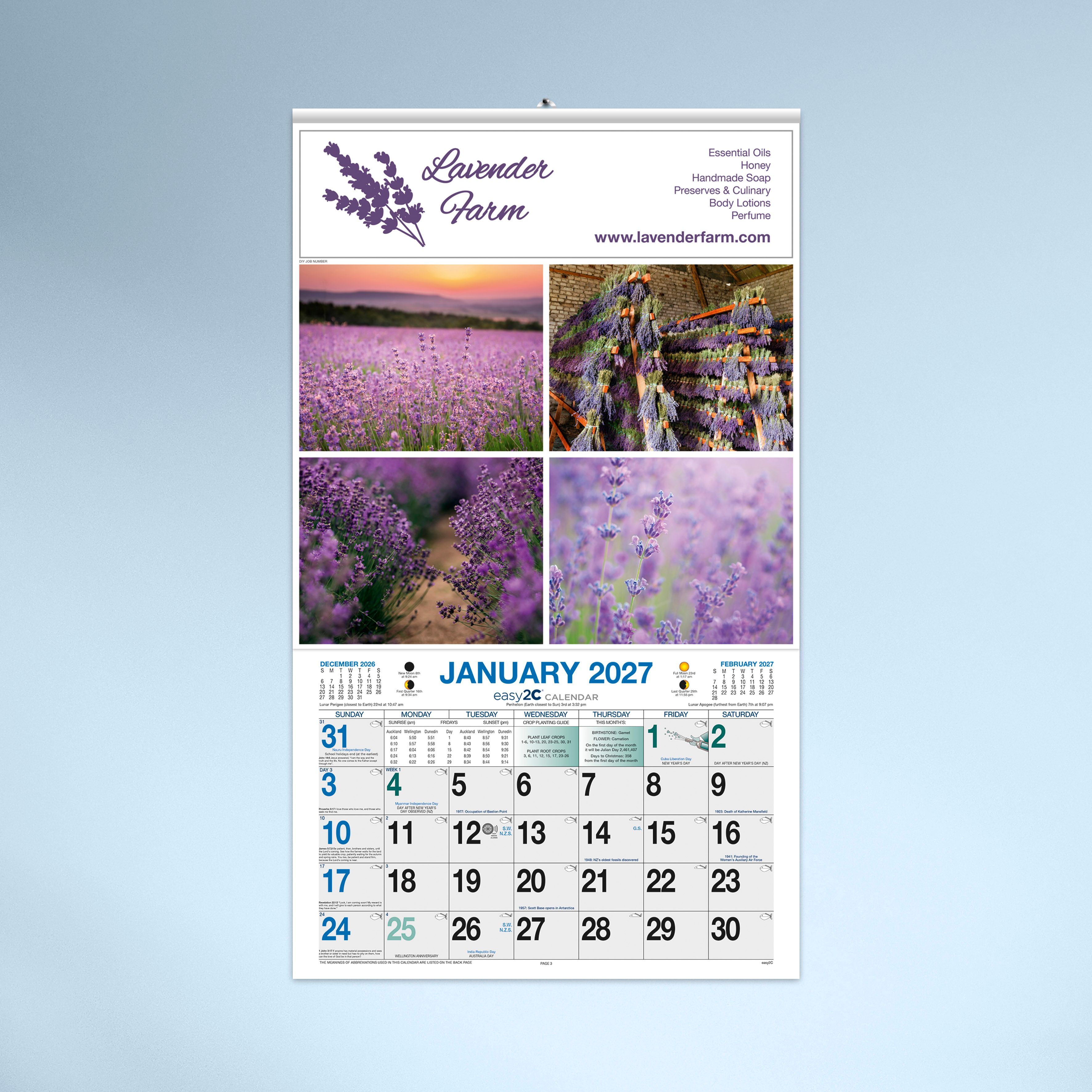 Standard Hanger_Fixed_Style CH_01_27