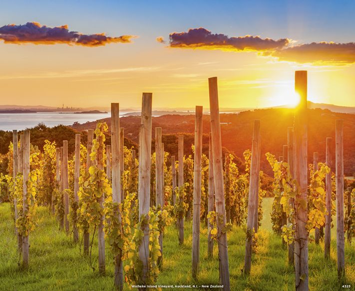 4323_Waiheke Island, Auckland