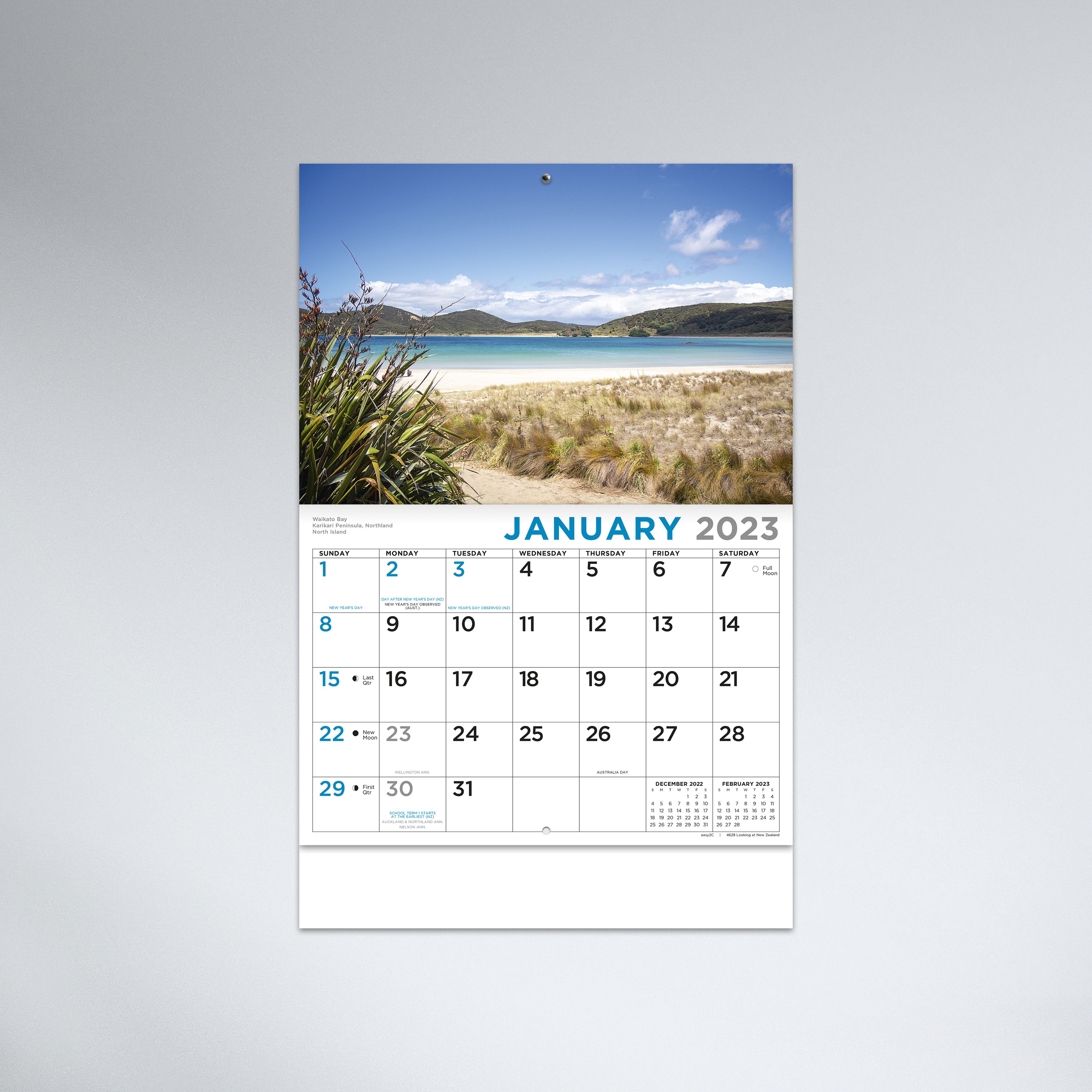 4628_Looking at NZ_Grey_Hero