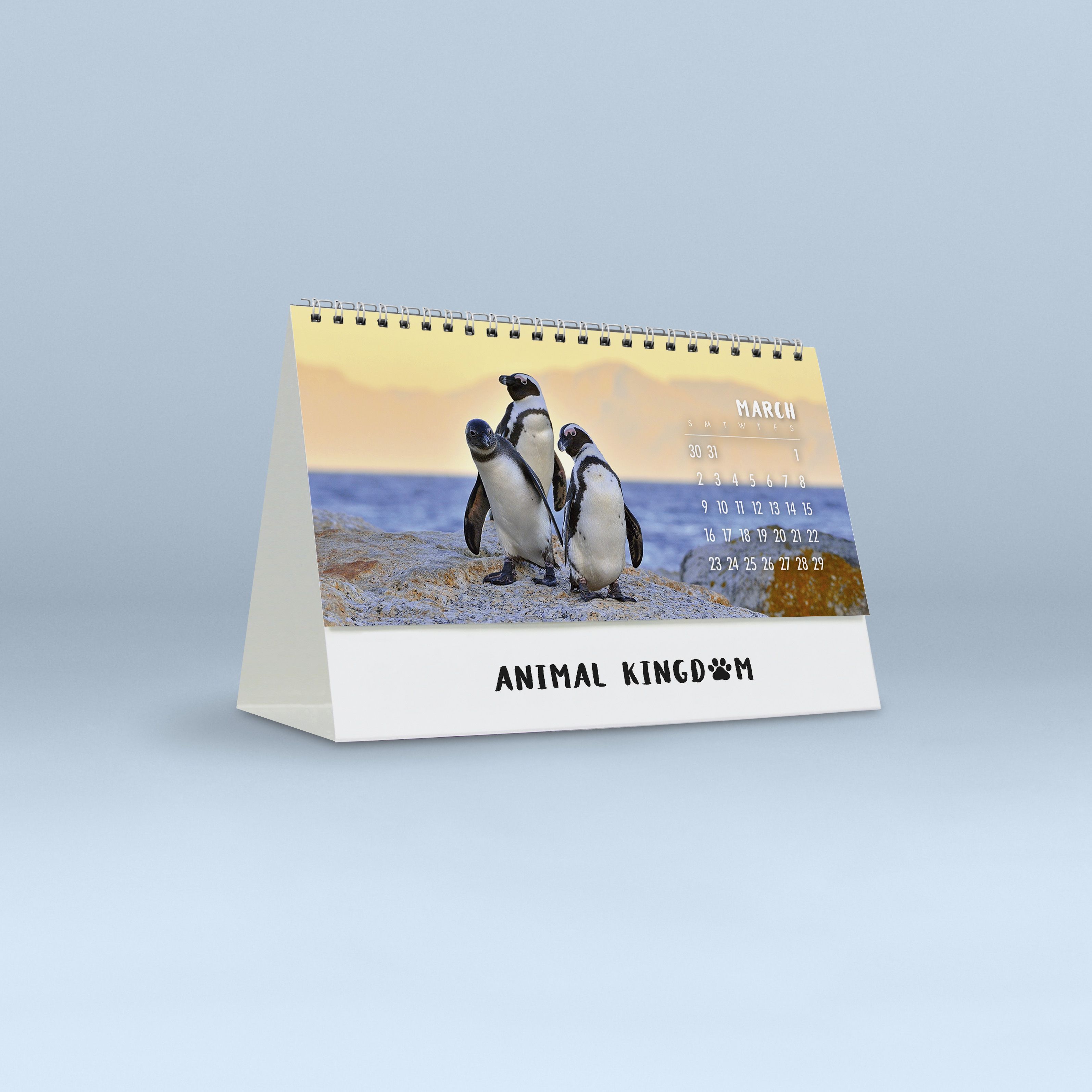 Animal Kingdom_4257_25_06