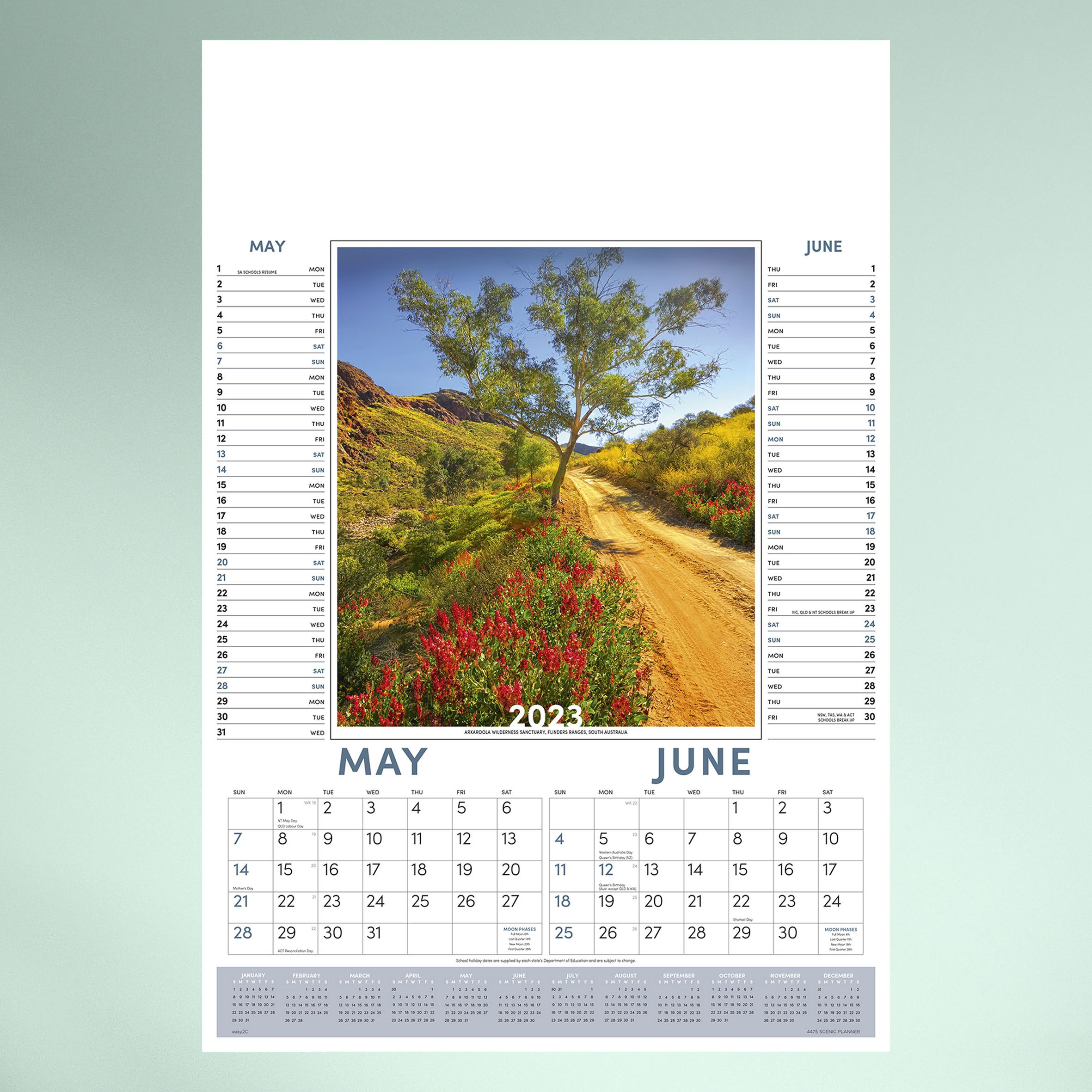 4475_Scenic_Planner_Wall_03