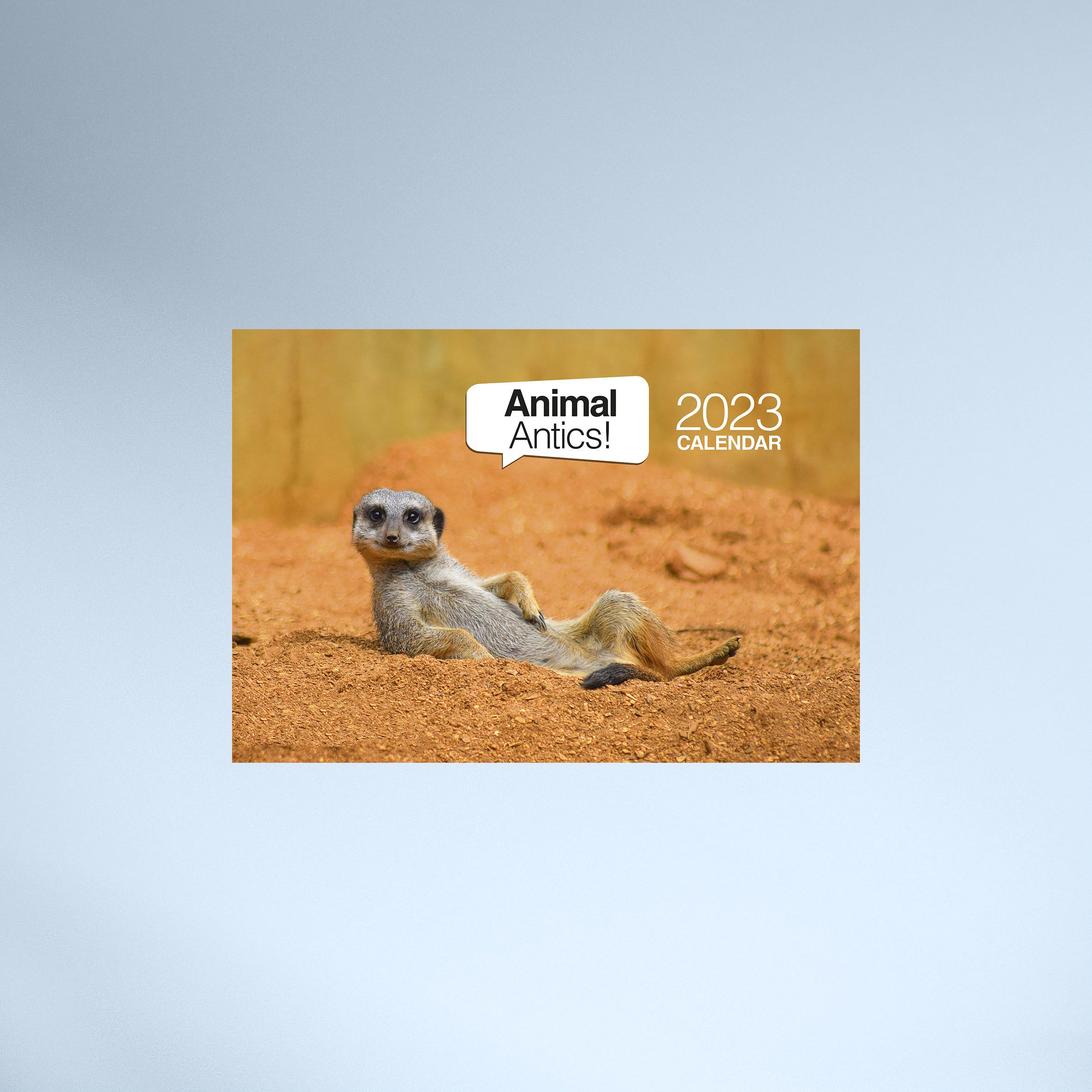 4419_Animal_Antics_Booklet_01