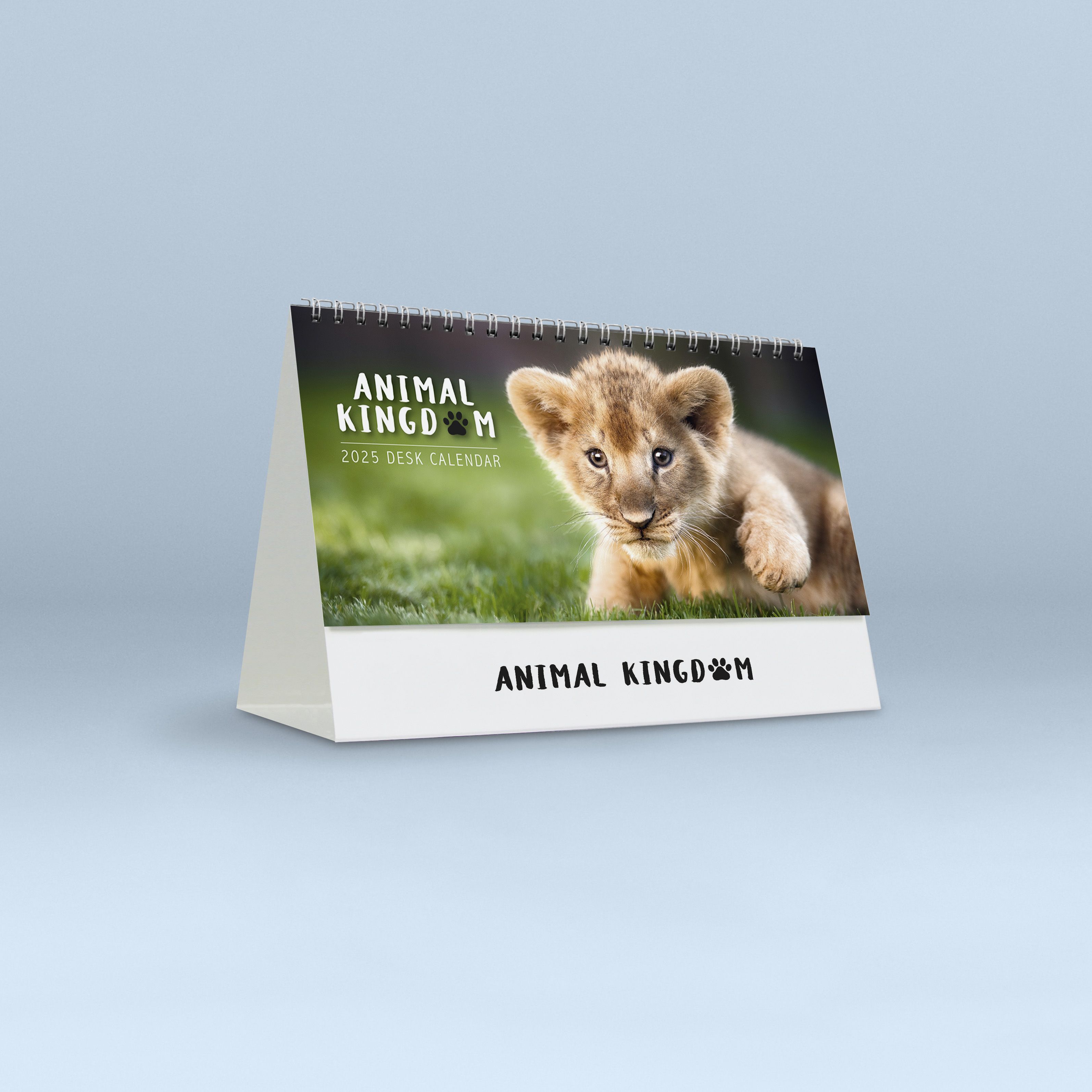 Animal Kingdom_4257_25_00