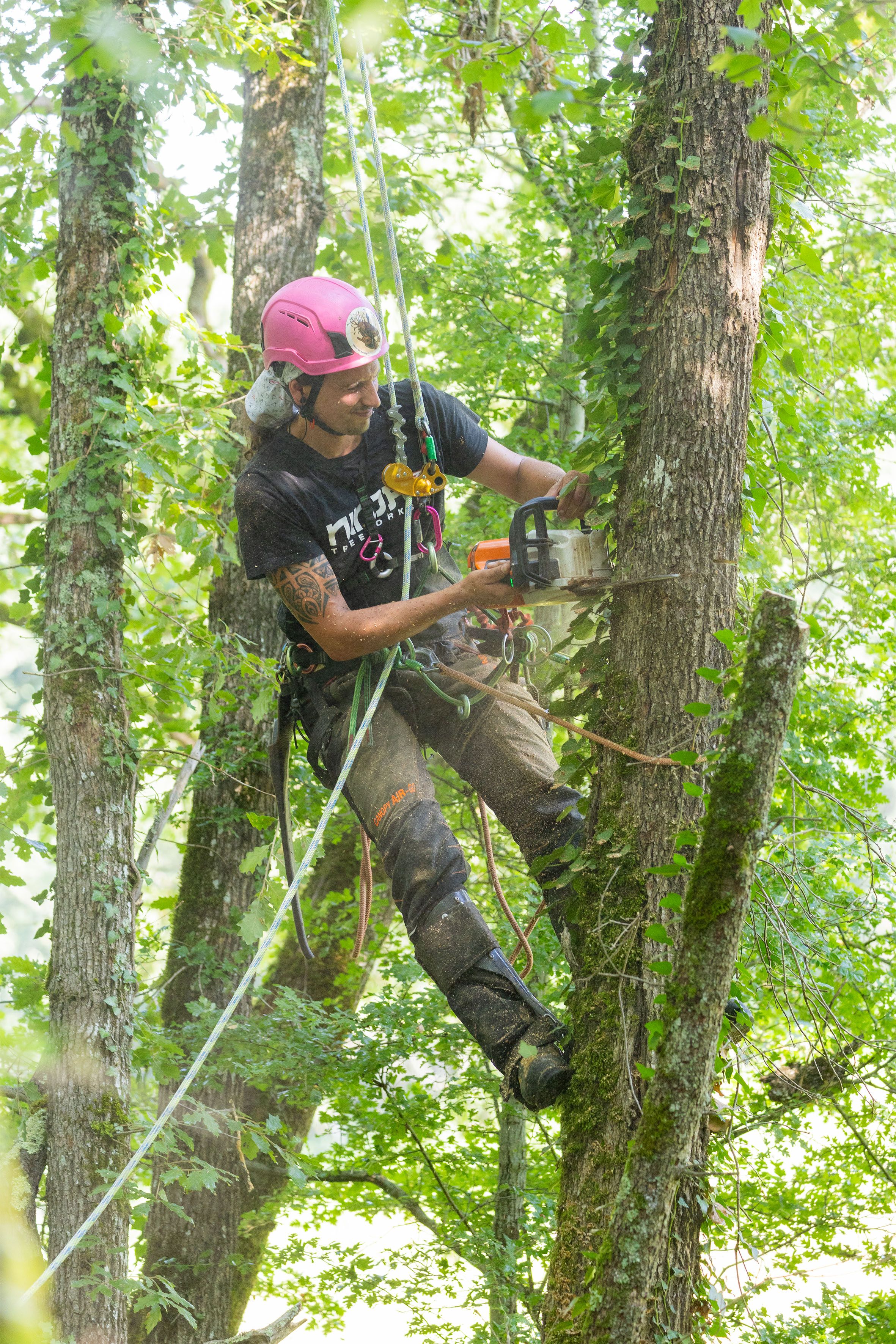 Chainsaw protection clothing - Tree