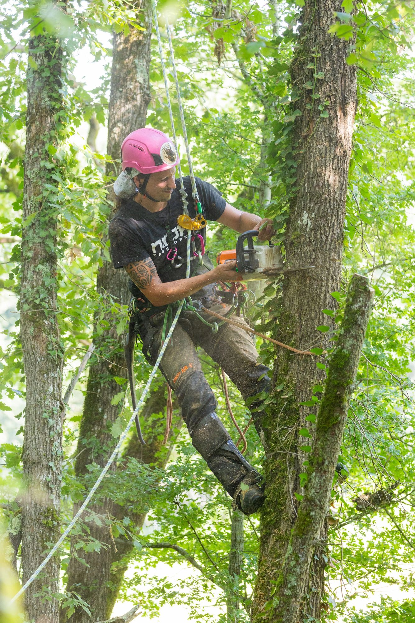 Chainsaw protection clothing - Tree