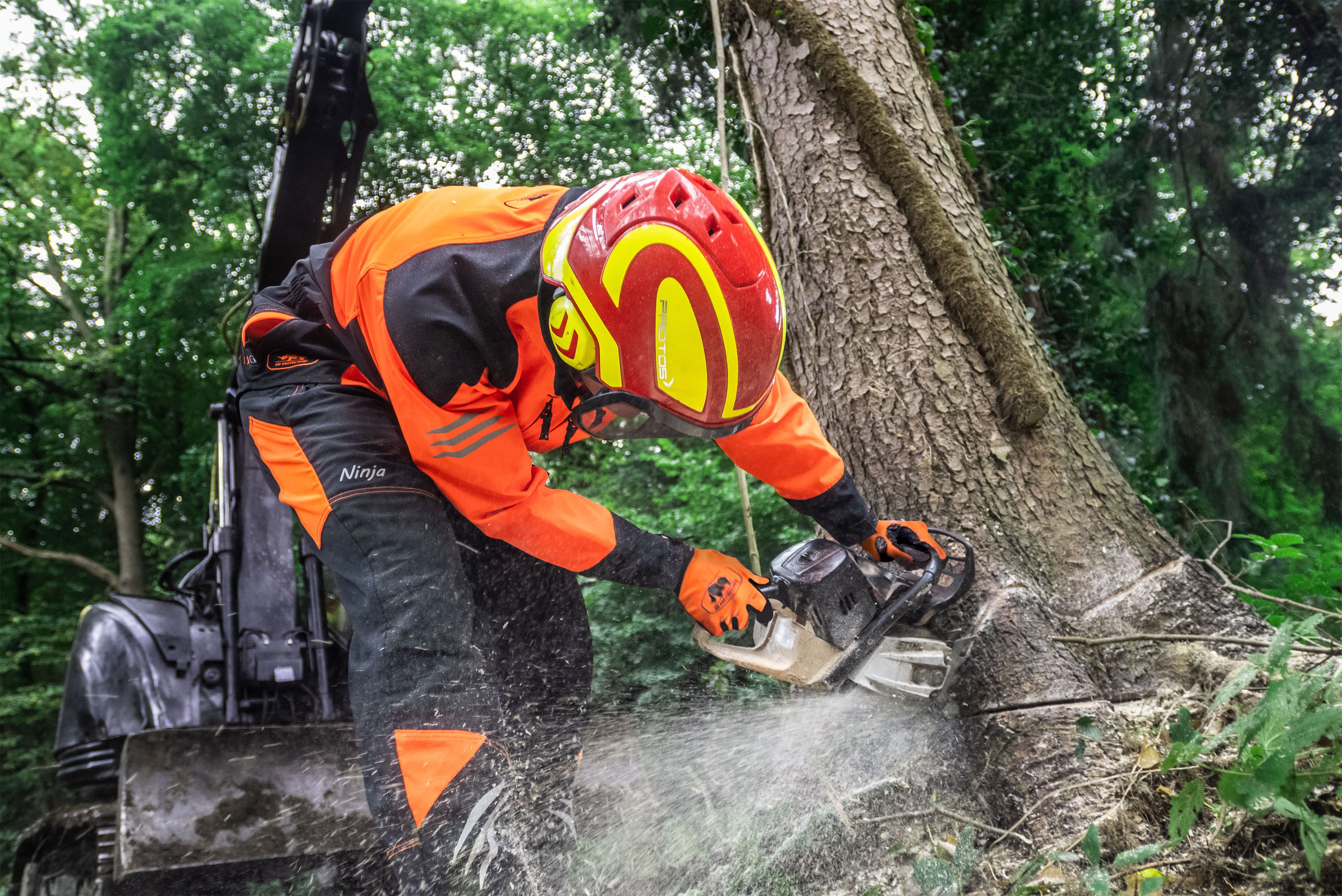 Chainsaw protection clothing - Tree cut