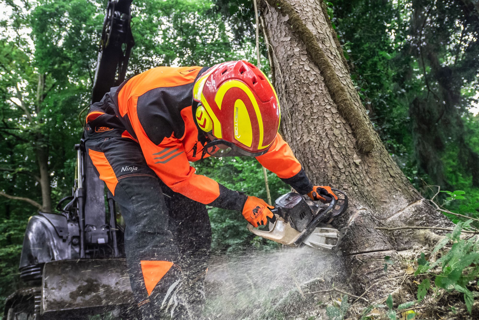 Chainsaw protection clothing - Tree cut