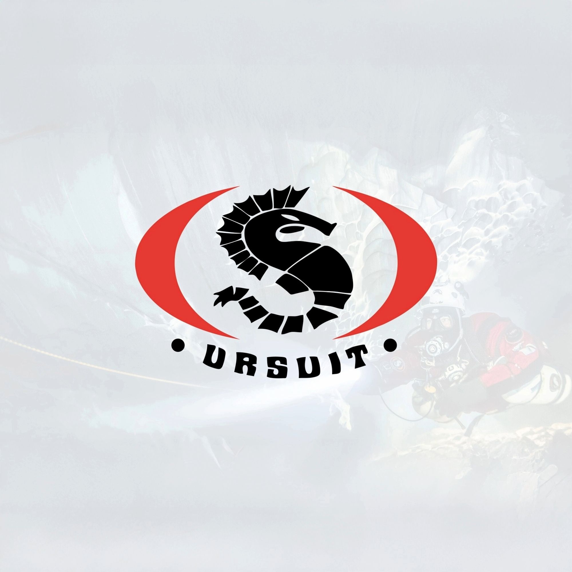 ursuit logo