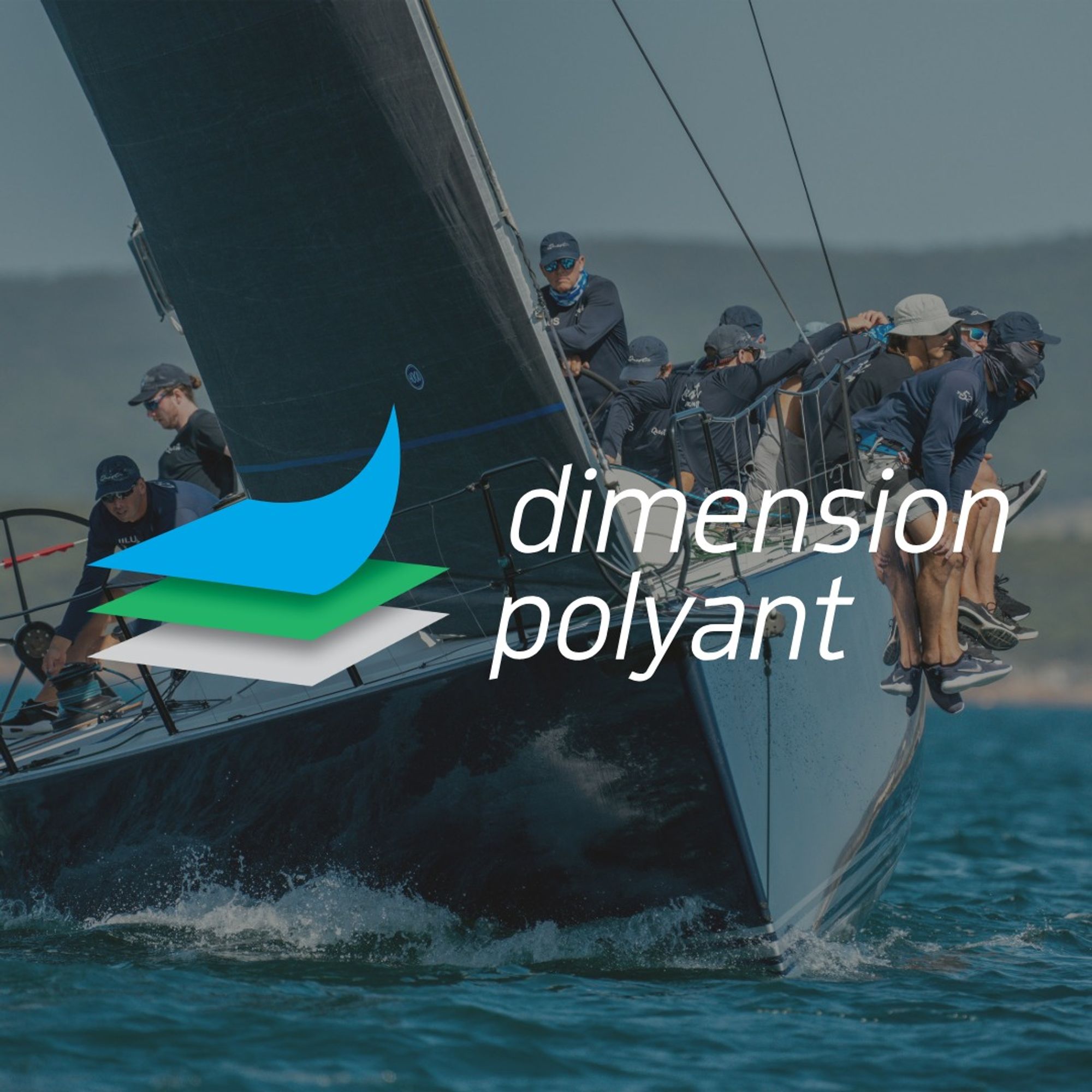 Dimesion Polyant logo