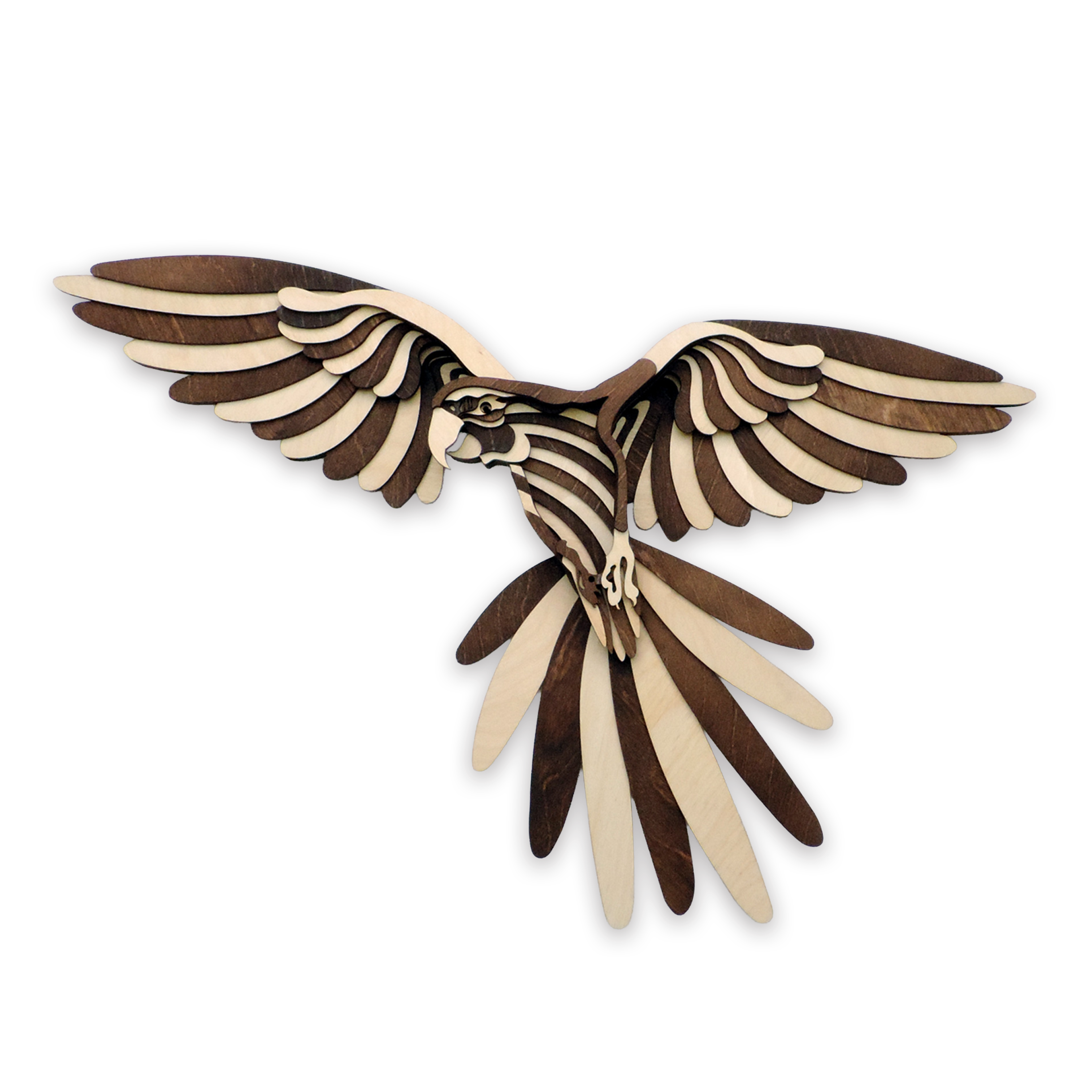Multilayer 3D laser-cut macaw wall art, Baltic Birch Plywood
