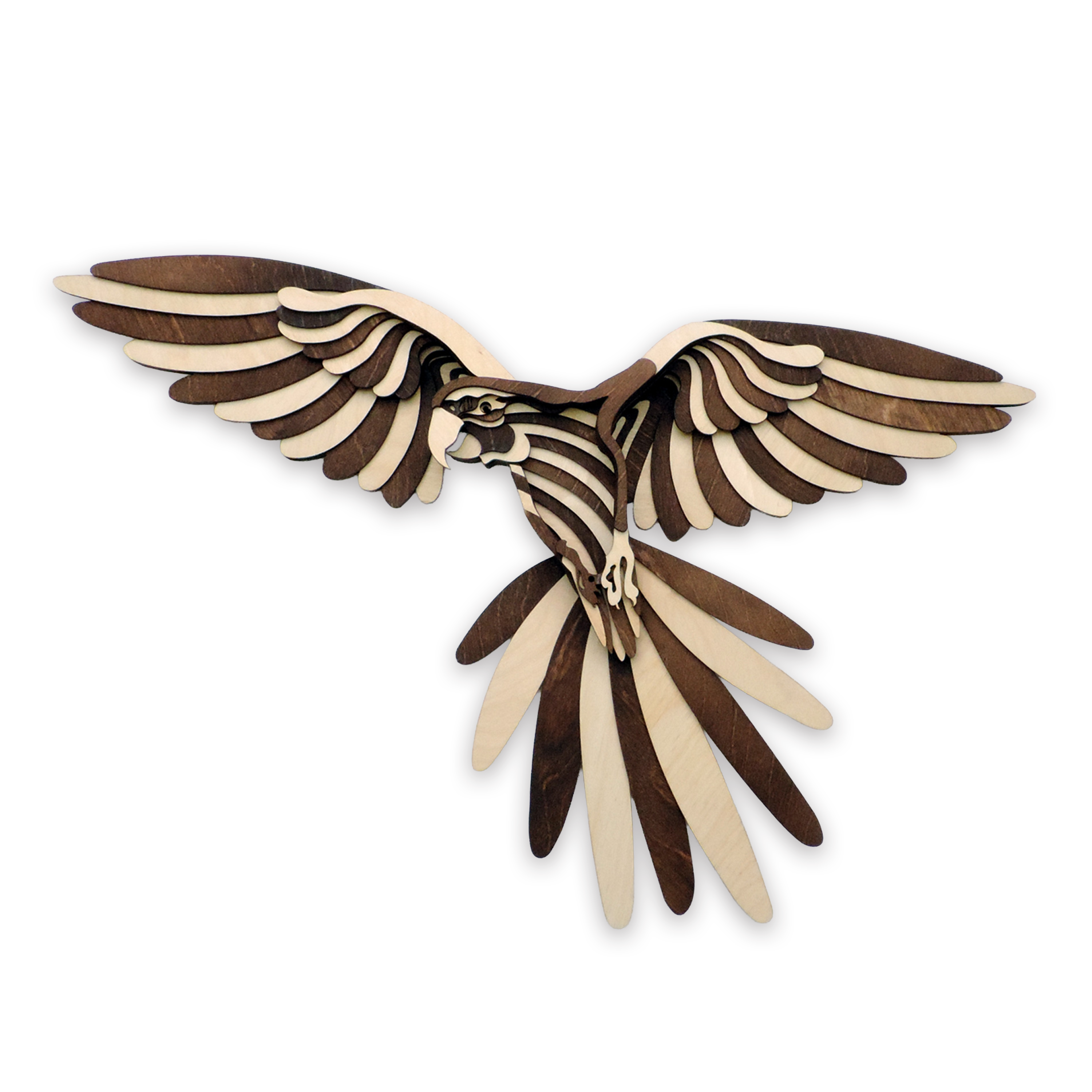 Multilayer 3D laser-cut macaw wall art, Baltic Birch Plywood