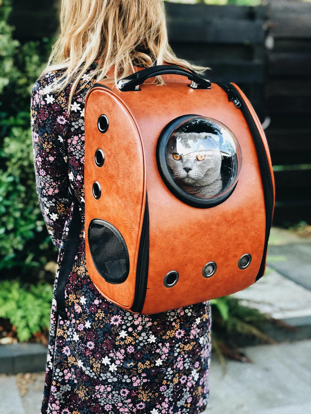 RescueCats | Adopt