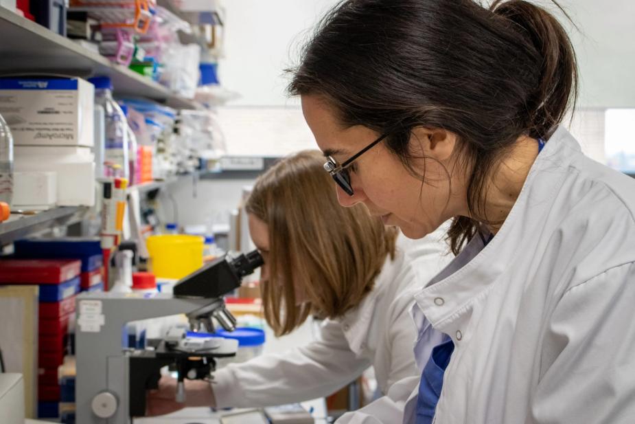 Report explores experiences of women in clinical academia at Imperial