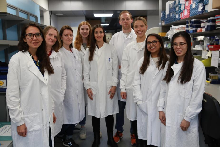 Two New Fellows Join Research Team