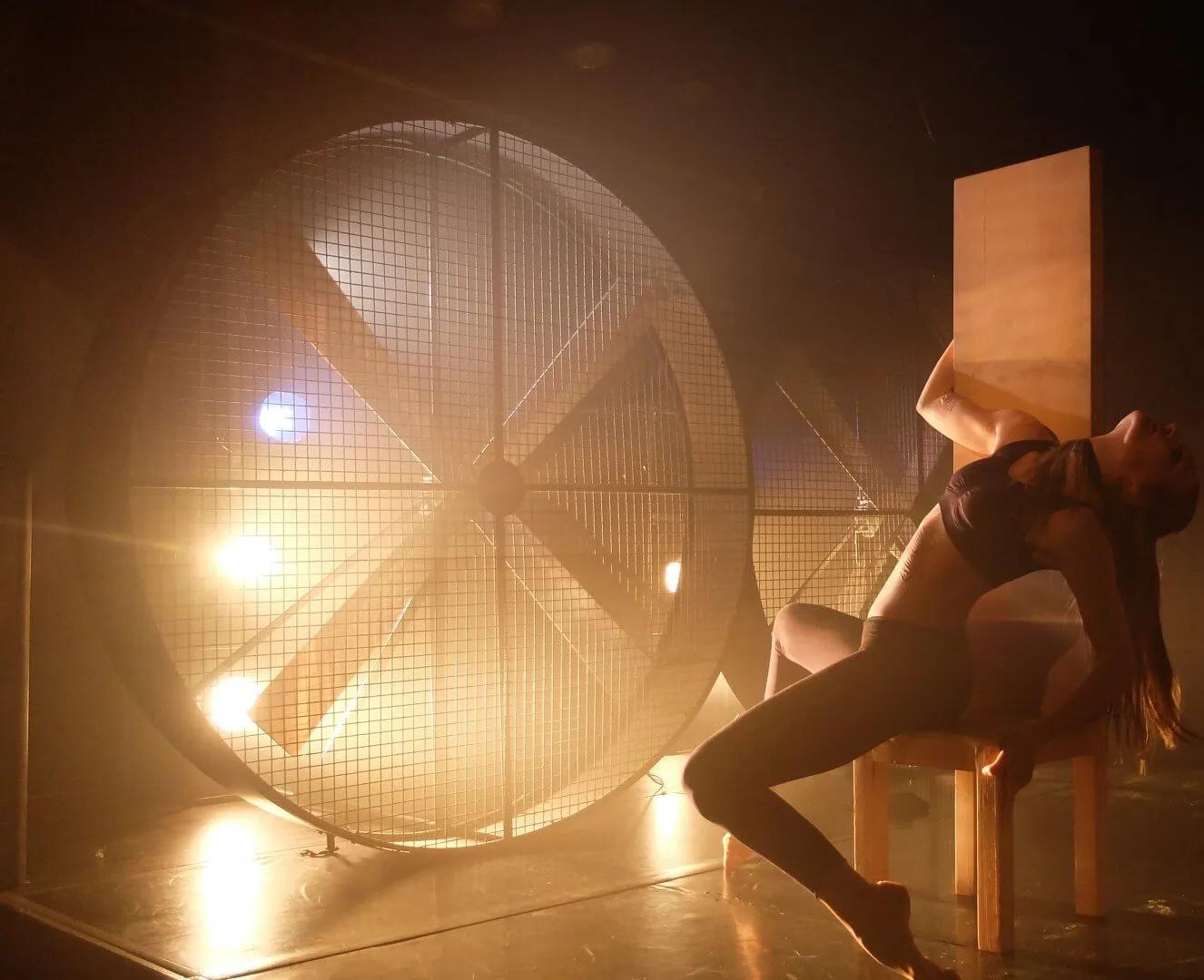 Richard III - Image 8