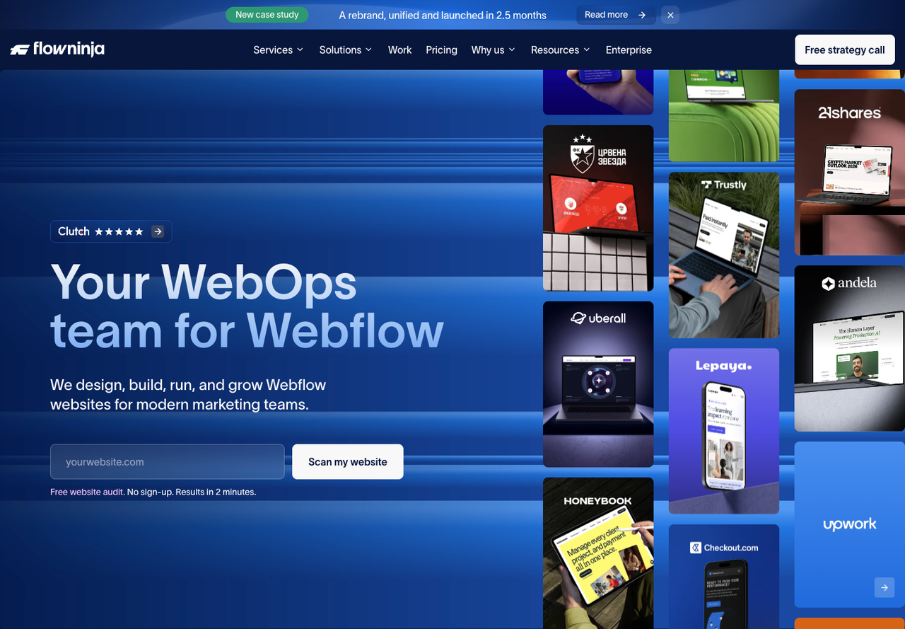 Flow Ninja homepage hero